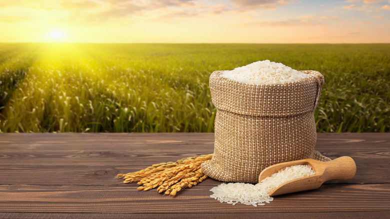 25kg Rice Bags Guide: Materials, Types & Cost Factors - MTPak