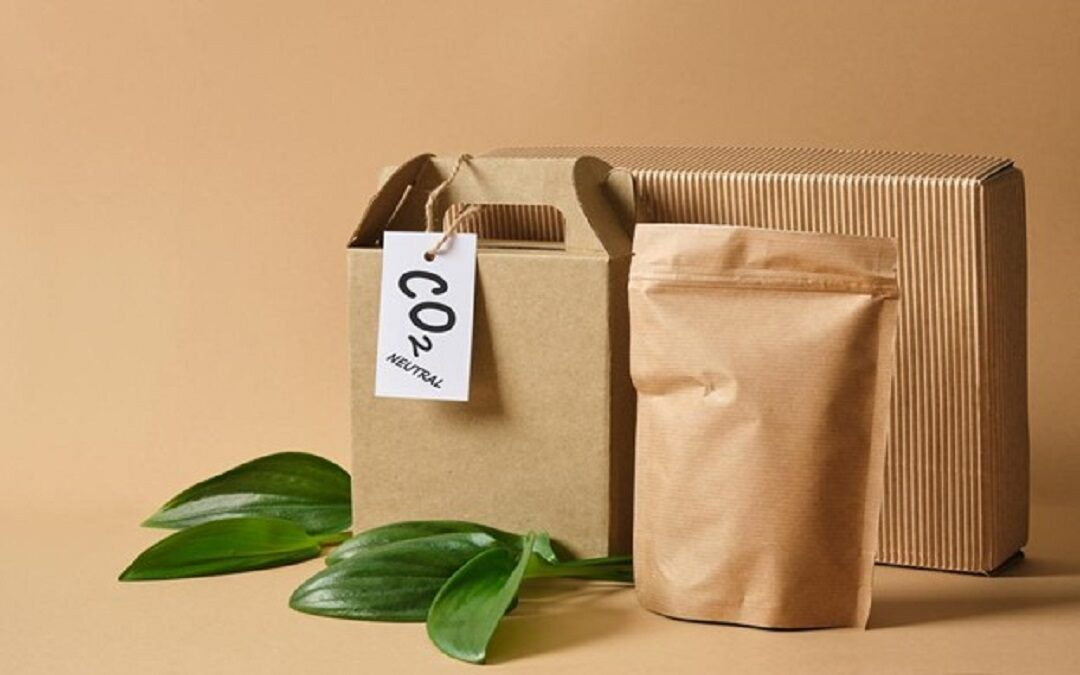 Eco-Friendly Packaging Guide: Types, Benefits & Real-World Examples - MTPak