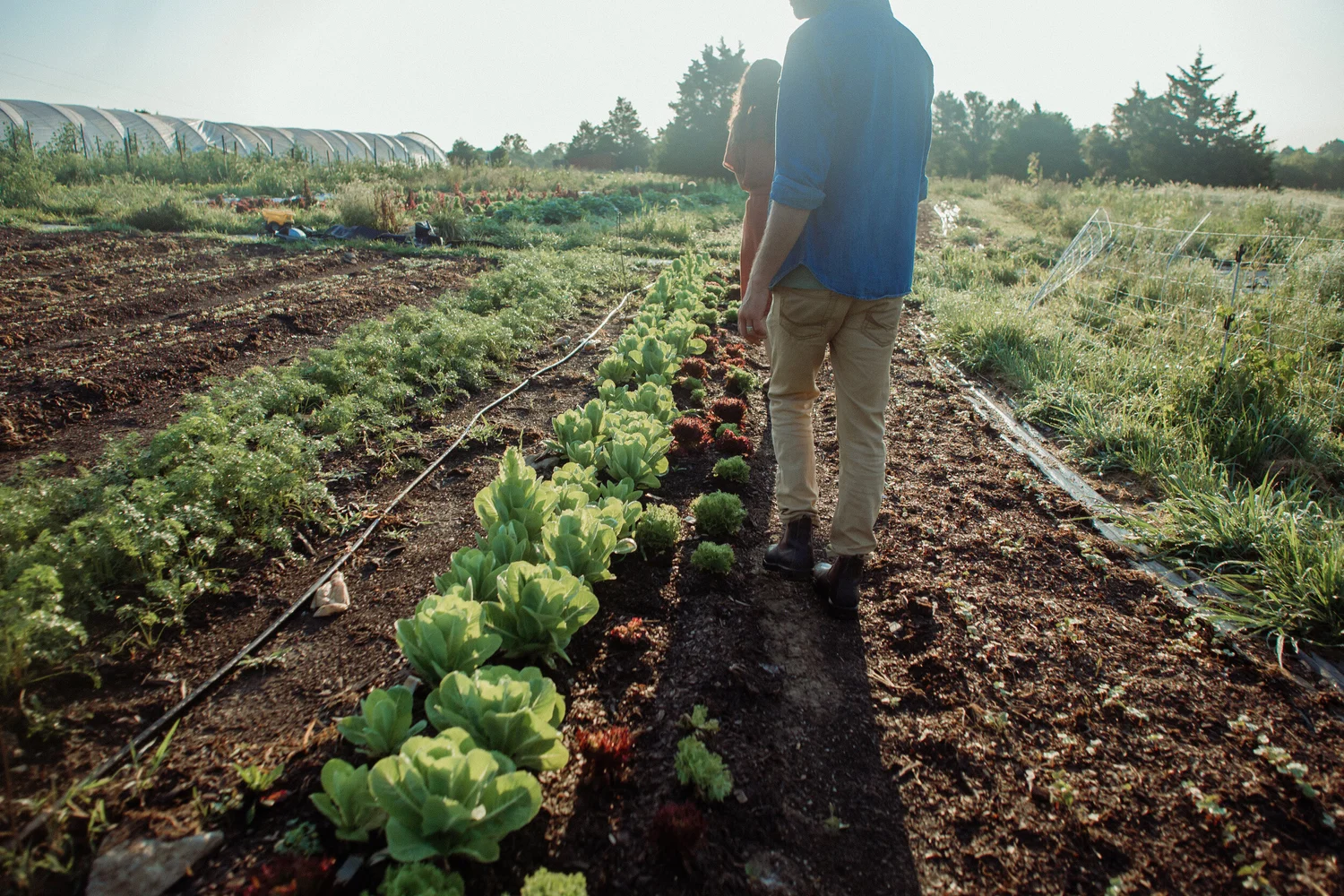 Rough Draft Farmstead