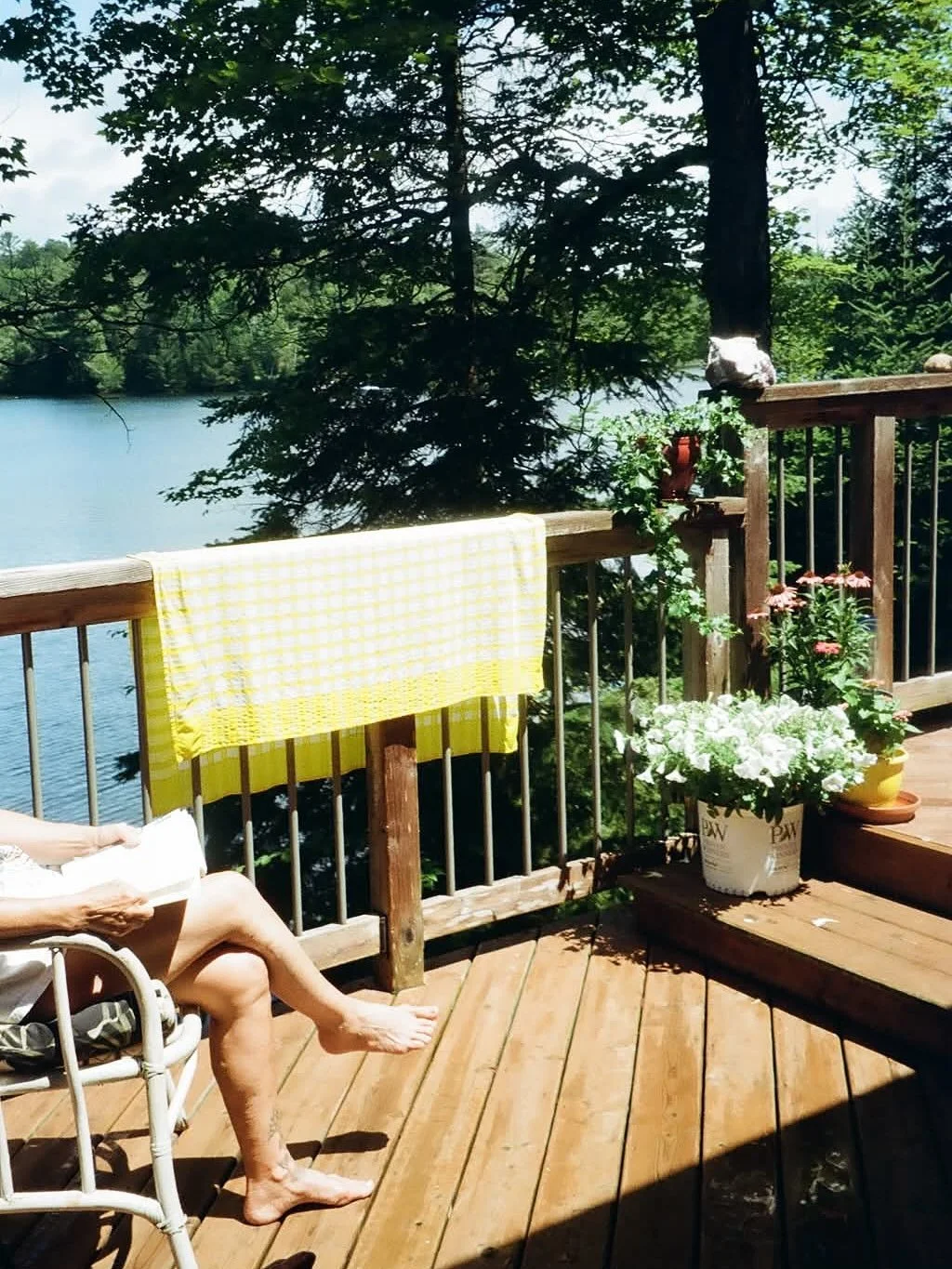 missing this very special place. 🥹 is there somewhere or someone in your world that feels like a soft landing?  #canada on #35mm 📸