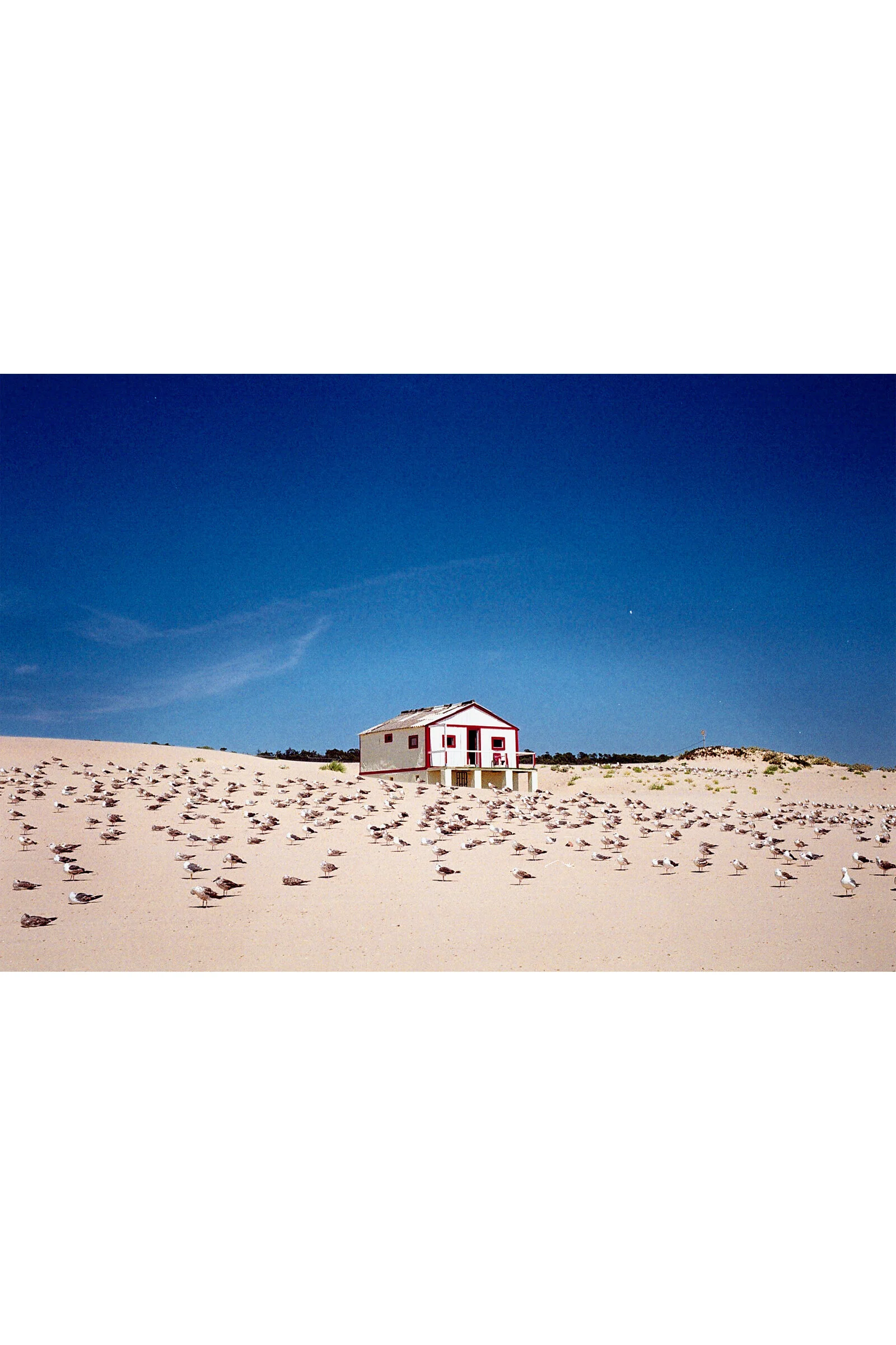 Limited edition photographs for sale. — The Photograph Room Limited ...