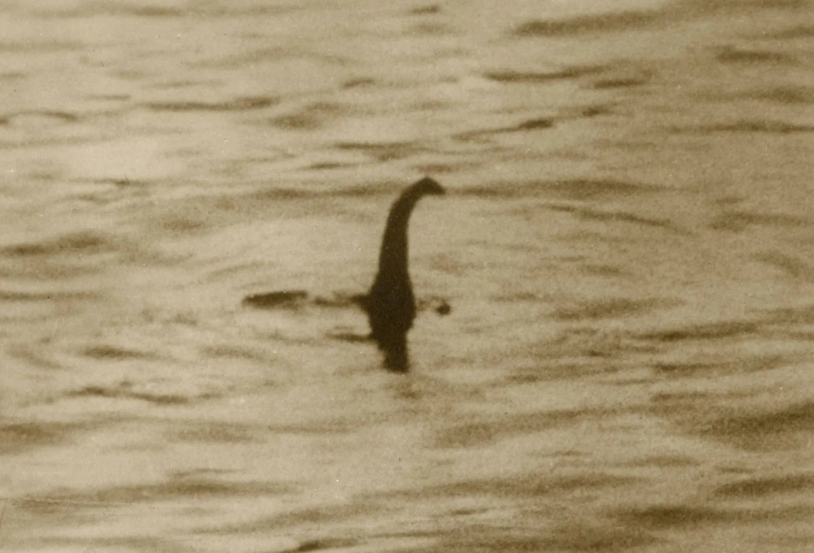 Monster Science First Thursdays: Nessie Galore