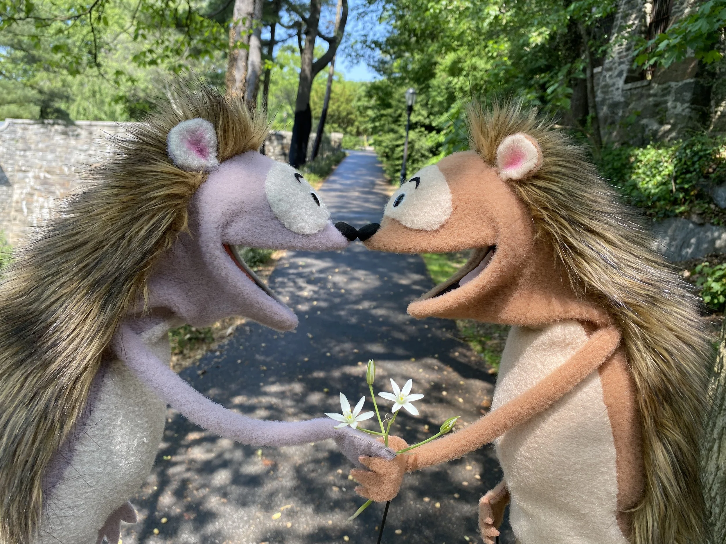 HedgeHearts thumbnail - Liz Hara.jpeg (Copy)