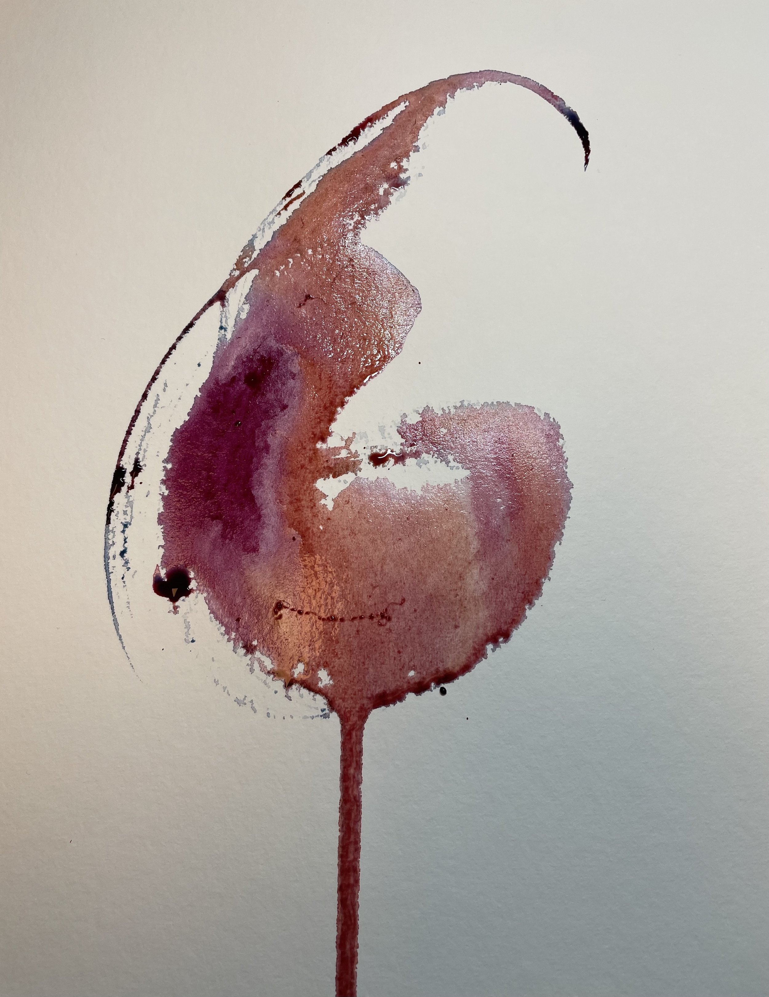 Capturing the light, bouquet and life of a young Barbera wine confined in a glass - From my wine tasting, an expression of taste and olfactory stimuli. Watercolour