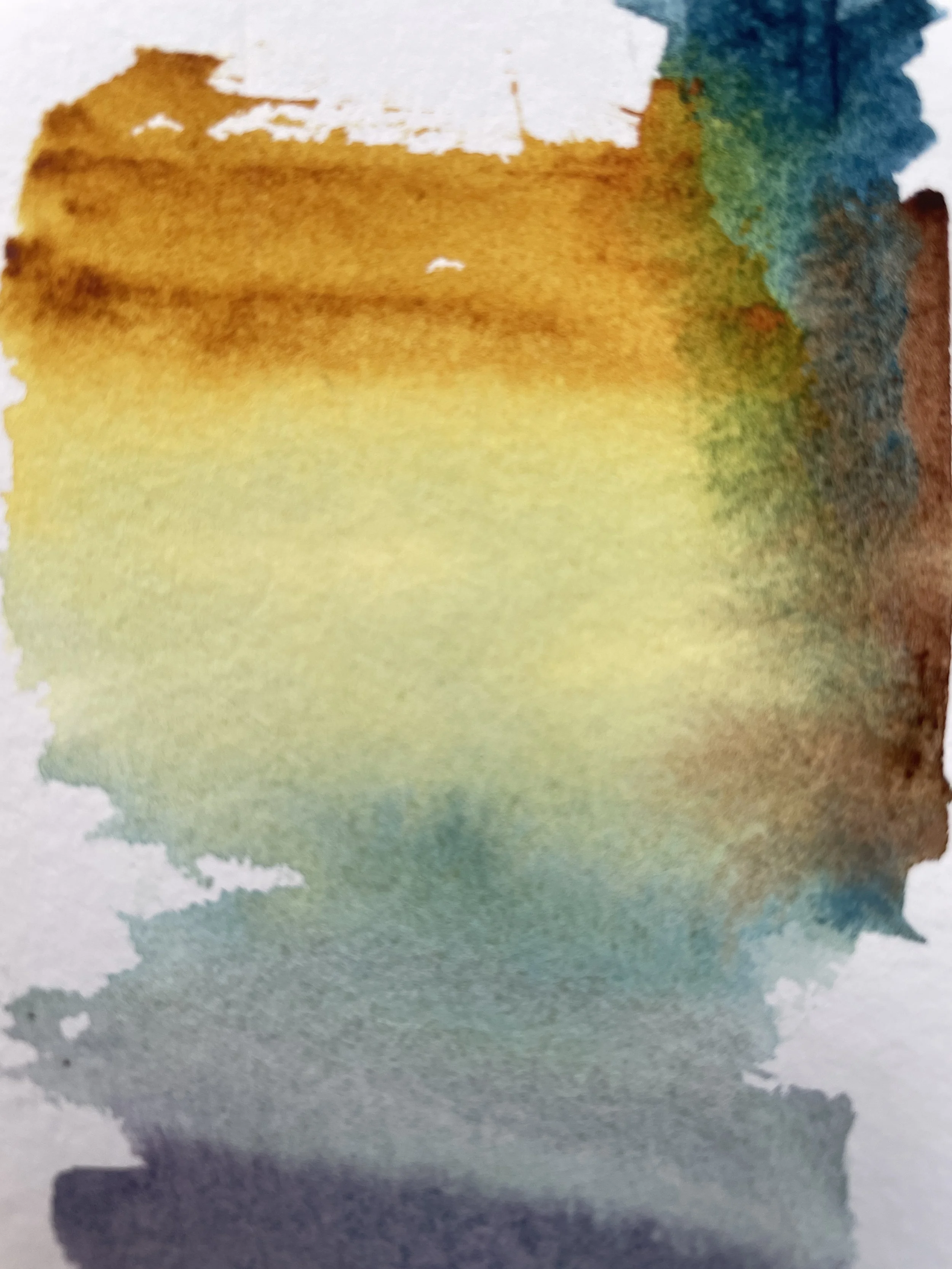 Workshops - Watercolour