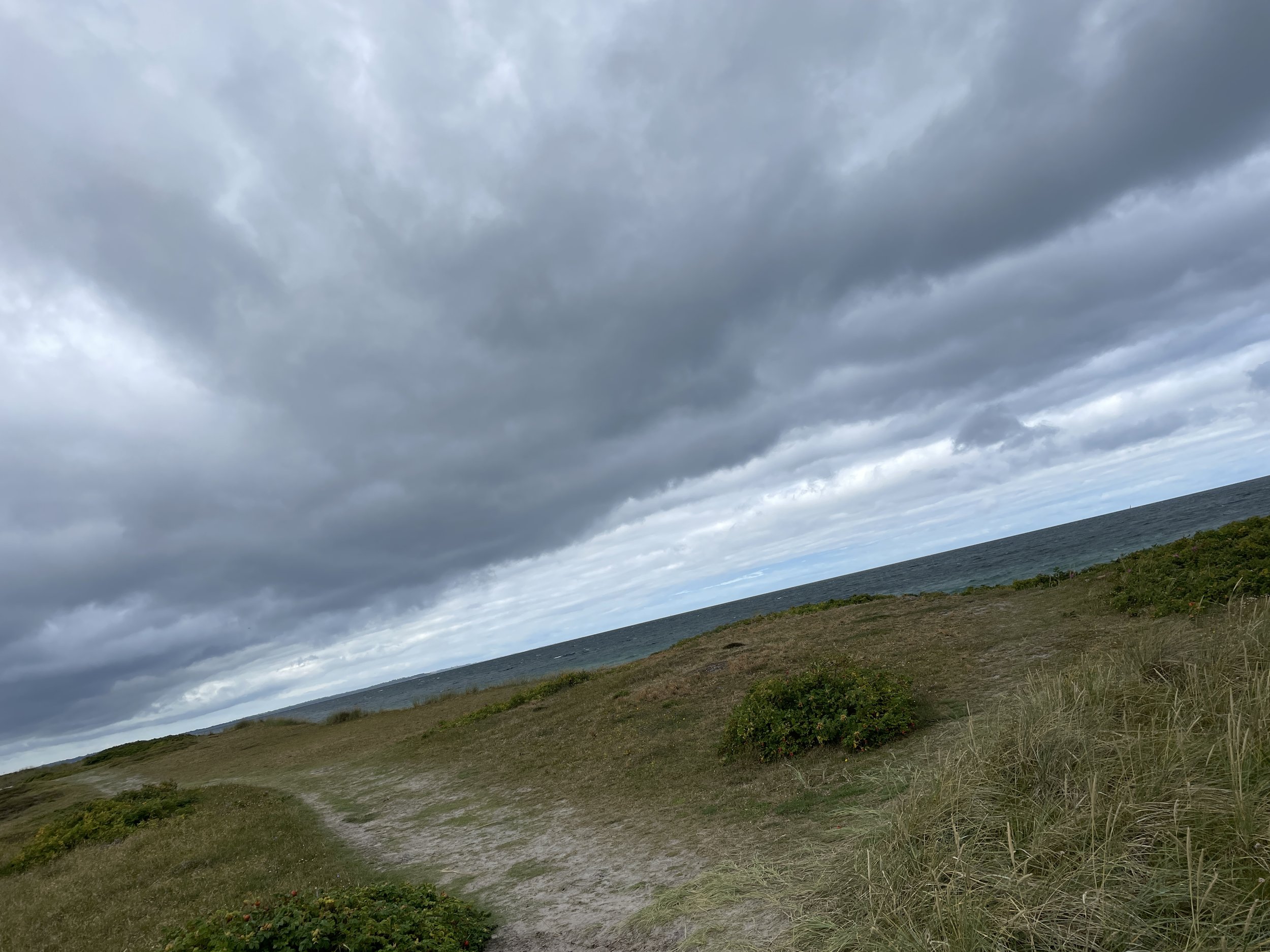 Foraging texture and light on the north coast. Walking, stopping to look and sketching the texture that the elements have taken on the coast. Growth is stunted , oak trees that are no more than 2m in height. Gnarled juniper bushes and gorse dot the