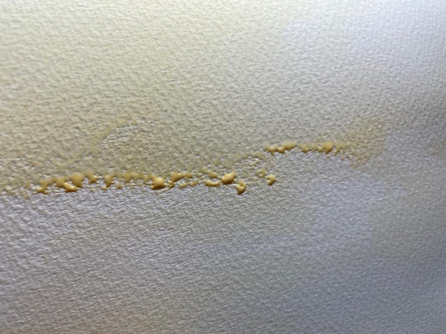 Initial impressions start to emerge through water, colour and paper. The beginnings of a new piece
