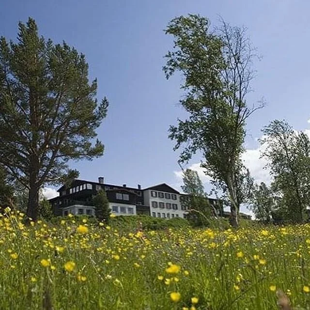 En sommer som kommer....🌱🌾 Vi gleder oss til &aring; &aring;pne d&oslash;rene igjen i trygge omgivelser for dere. F&oslash;lg med s&aring; kommer datoen!🙌🏼🥳#&oslash;igardseter #h&oslash;vringen #rondane #trygthososs &hearts;️