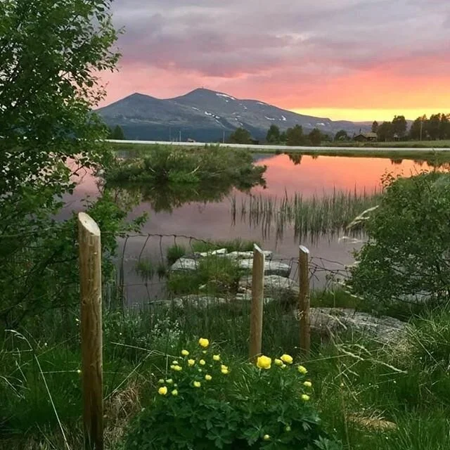 Slike kveldsstunder....🤞 Vi gleder oss til en fin sommer!🌾📸:M.Neprud