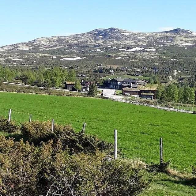 Det kommer en herlig sommer og vi gleder oss til &aring; &oslash;nske deg velkommen!🌸 #&oslash;igardseter #h&oslash;vringen #rondane #sommerferie2020 #fjelletkaller 📸 @estermidtli