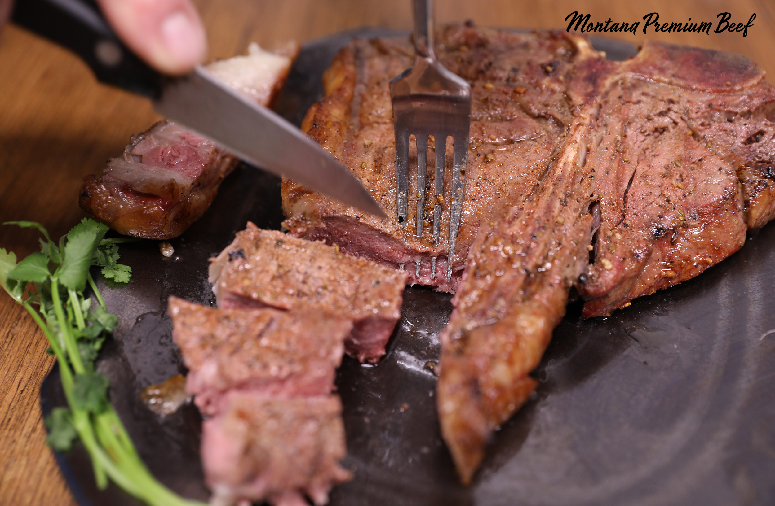 tbone2.png