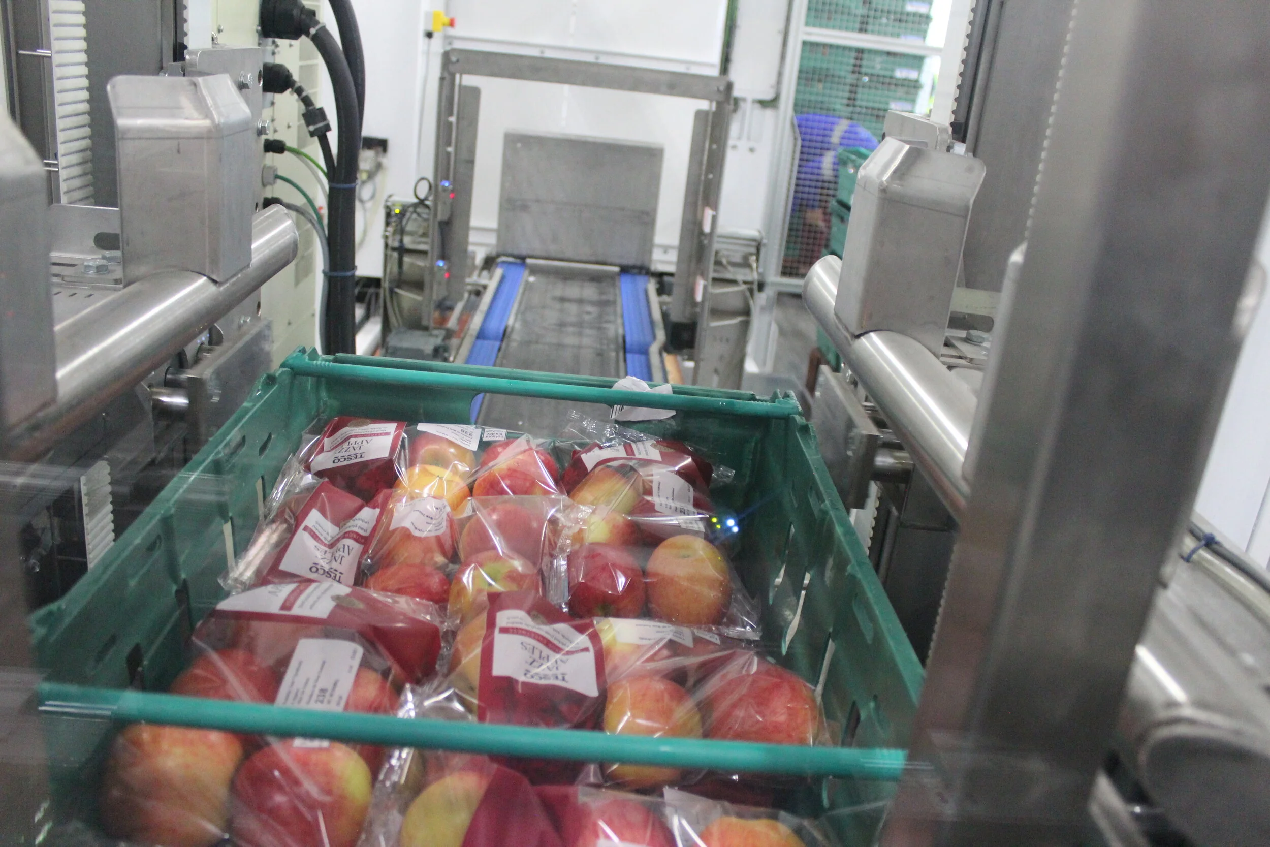   ﻿</strong>  Apple Producer Picks Brillopak To Automate Packing Facility    </strong>  