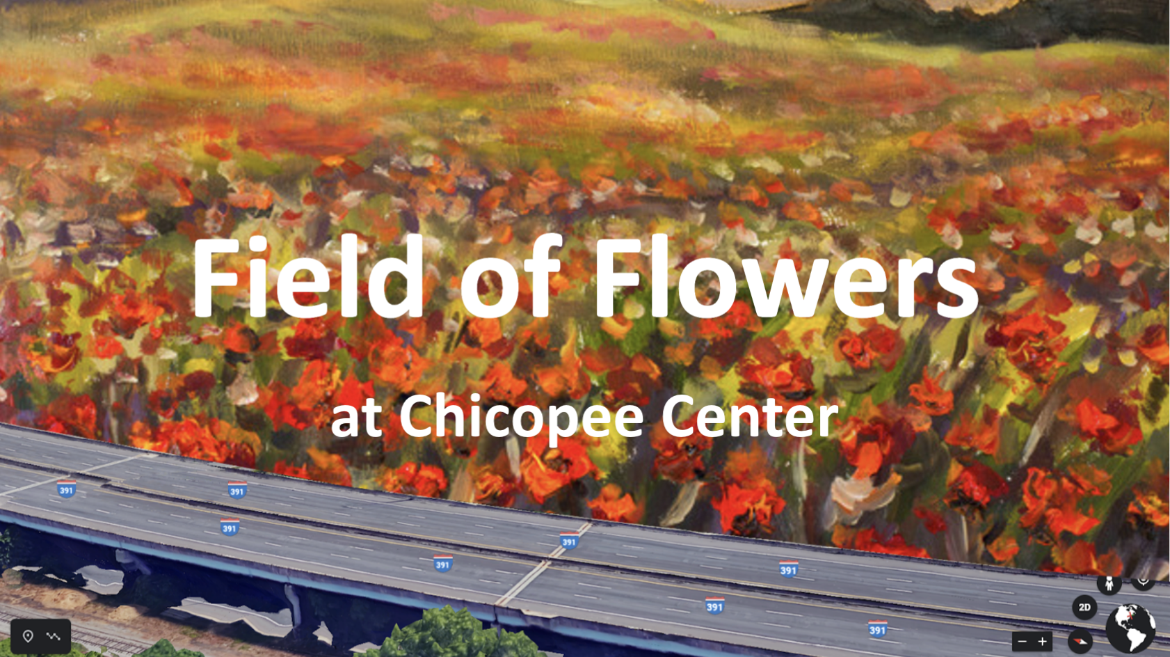 Field of Flowers at Chicopee Center