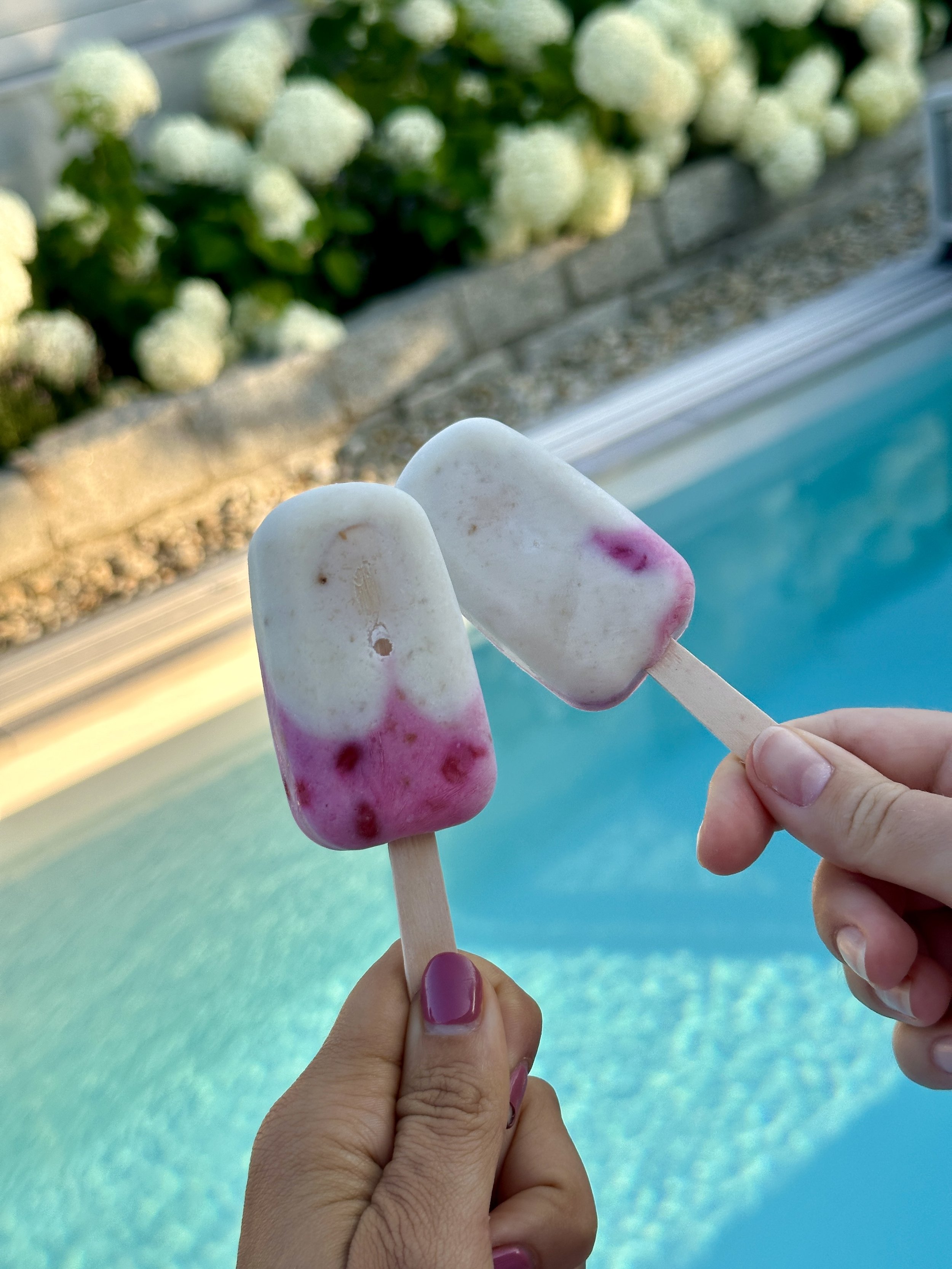 4-ingredients-homemade-matcha-berry-popsicles-magda-mag-das-recipe-eis-gelato-selbstgemacht-skyr-sommer-rezept-protein-ribisel-summer-recipe-eiscreme