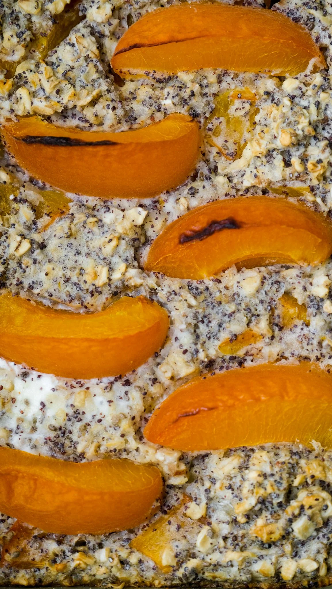 high-protein-poppyseed-apricot-baked-oats-haferflocken-marillen-aprikosen-mohn-frühstück-brunch-topfen-fiber-easy-recipe-rezept-mealprep-gutfriendly-delicious