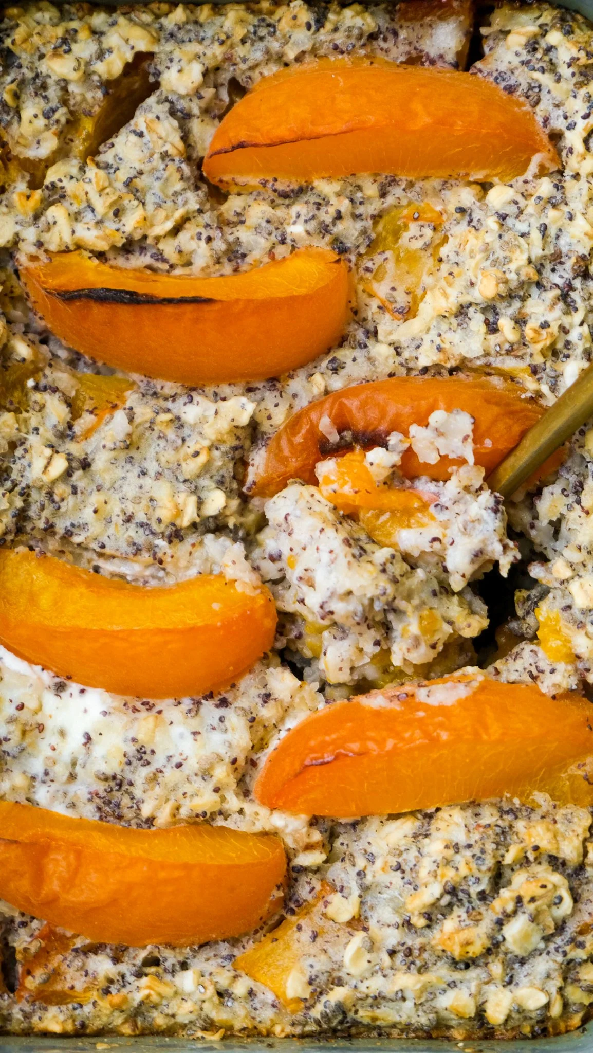 high-protein-poppyseed-apricot-baked-oats-haferflocken-marillen-aprikosen-mohn-frühstück-brunch-topfen-fiber-easy-recipe-rezept-mealprep-gutfriendly-delicious