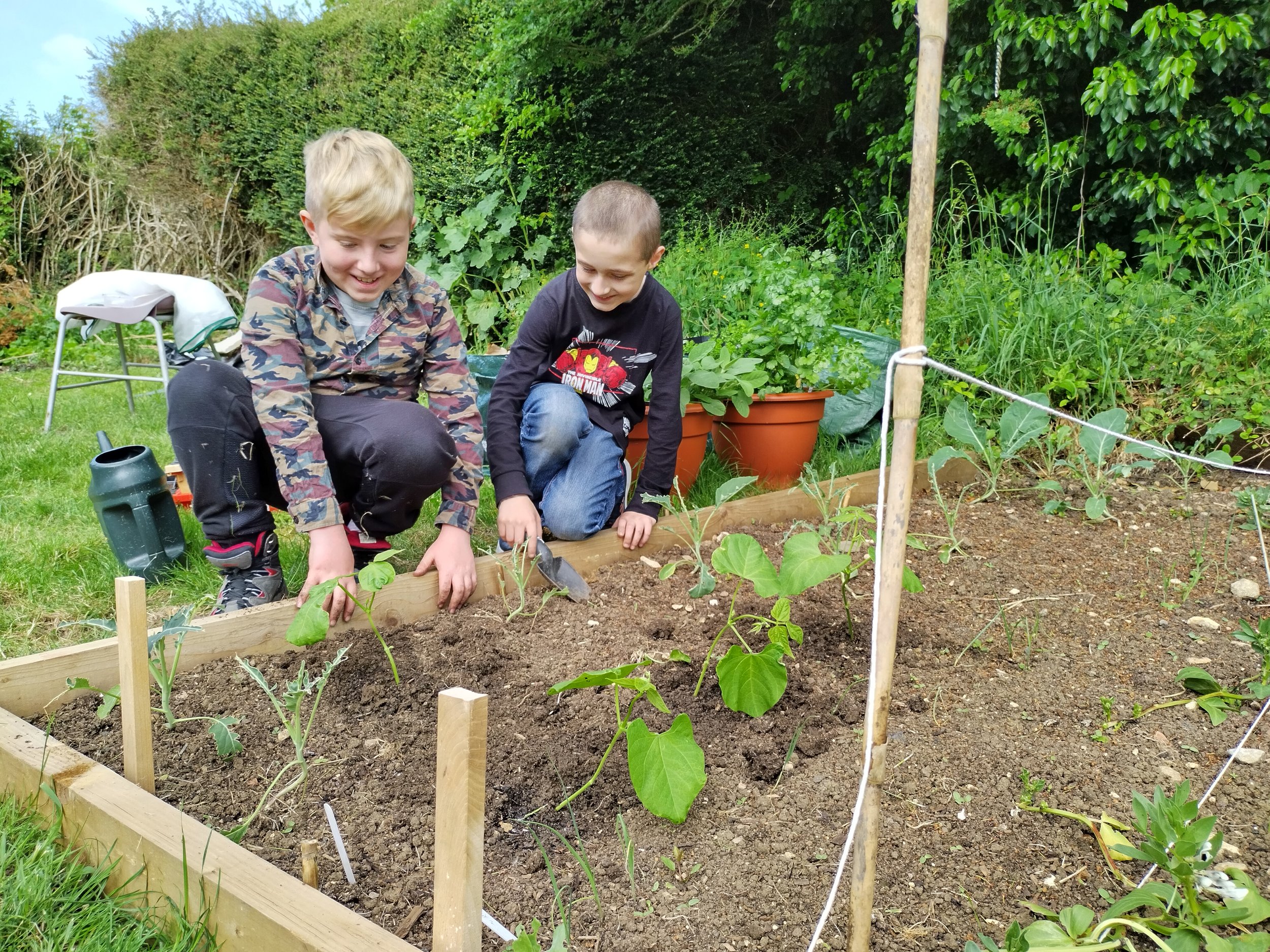 Hunting for worms_CashesGreenSchool.jpg