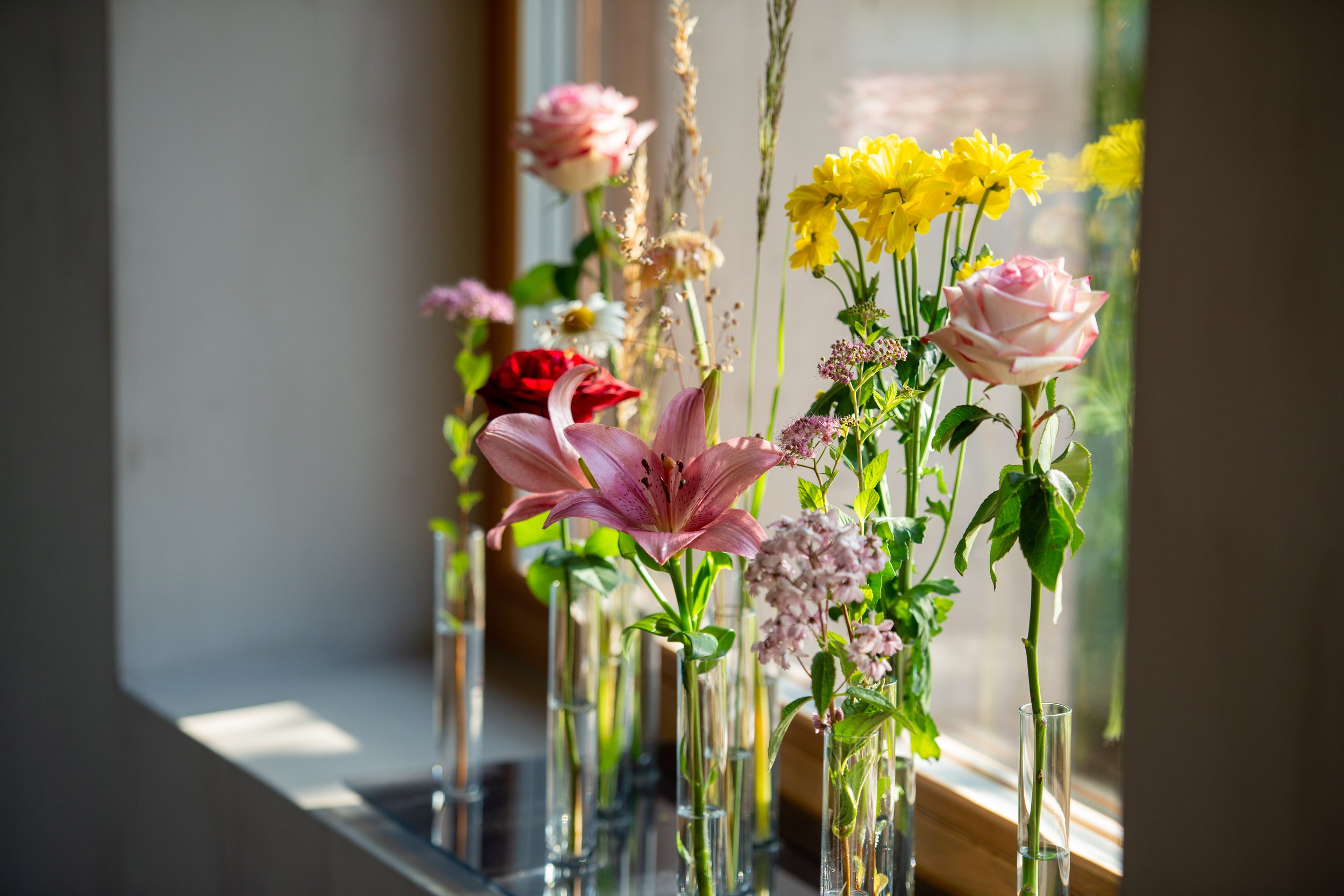soami_2019_4373.jpg