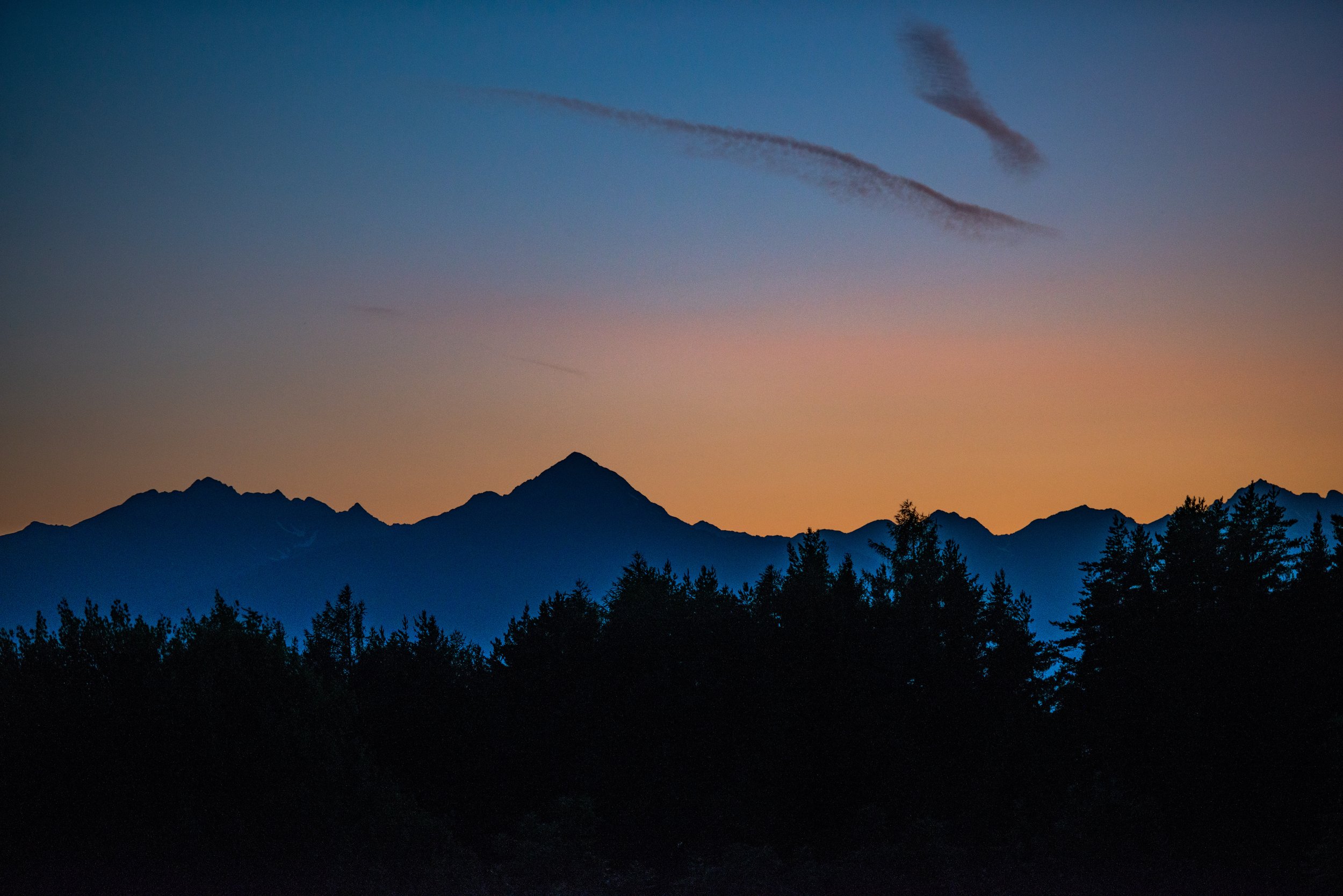 soami_2019_5142.jpg