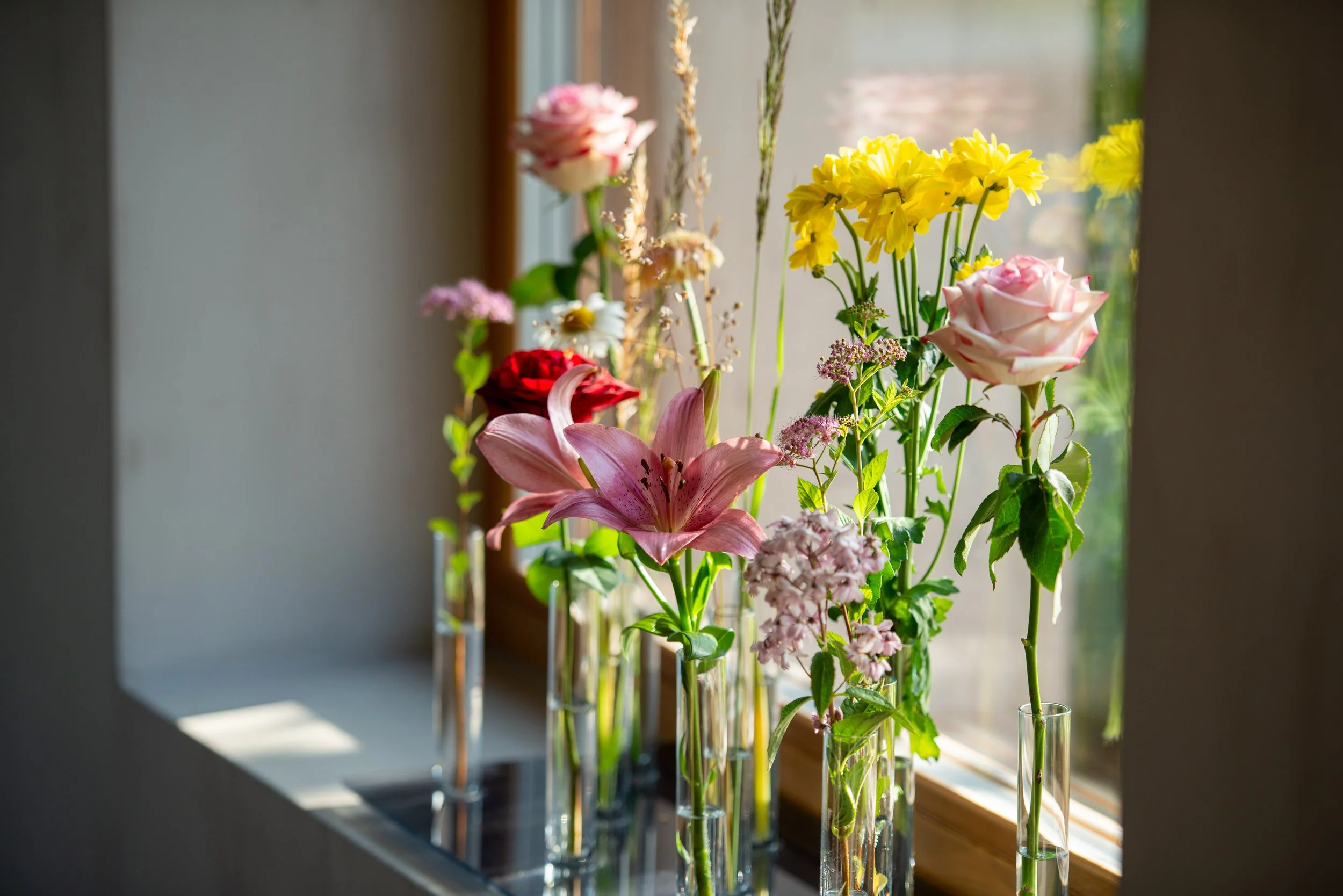 soami_2019_4373.jpg