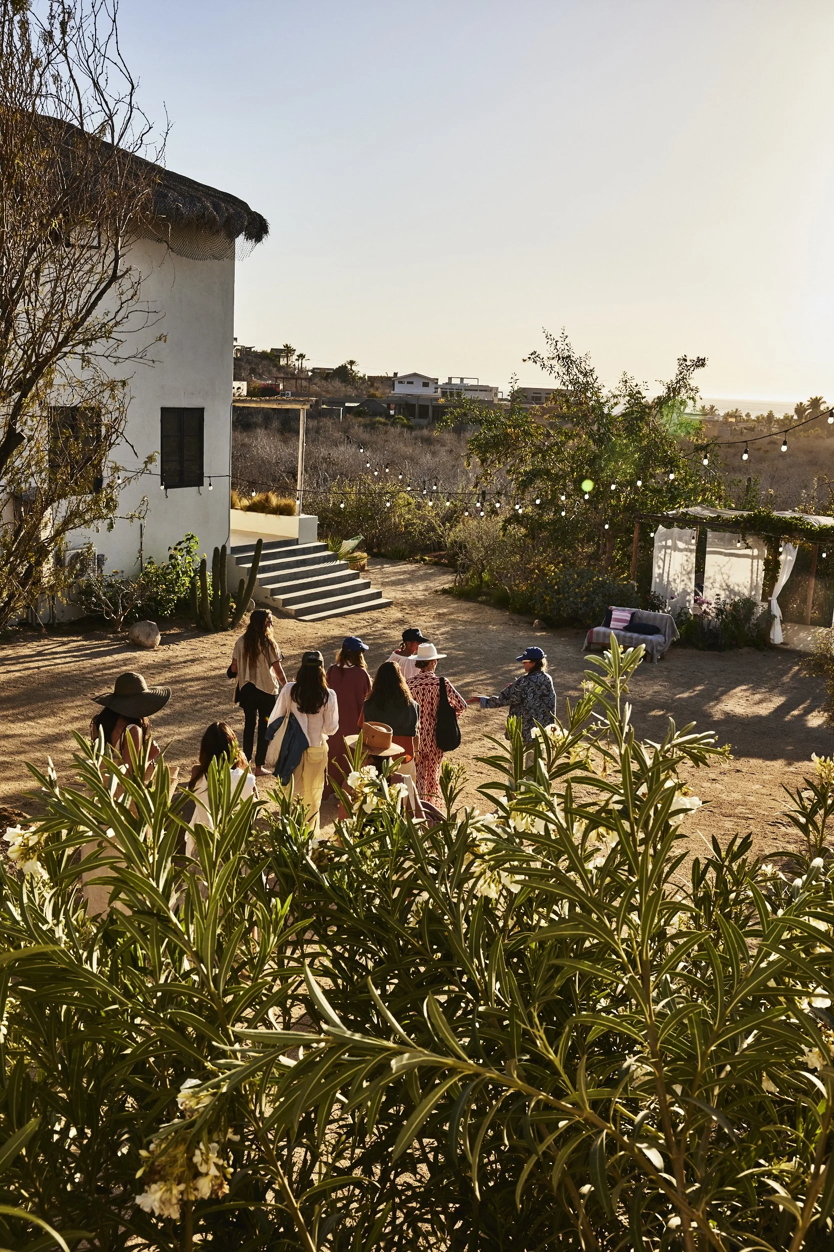Group of people gathering outdoors near a white building under string lights, with desert plants and bushes in the background, during sunset.