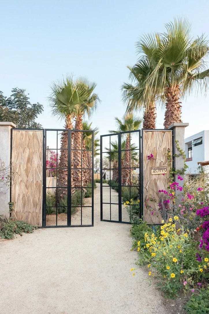 Open black metal gate leading to a pathway through a garden with tall palm trees and colorful flowers, with modern white buildings in the background.