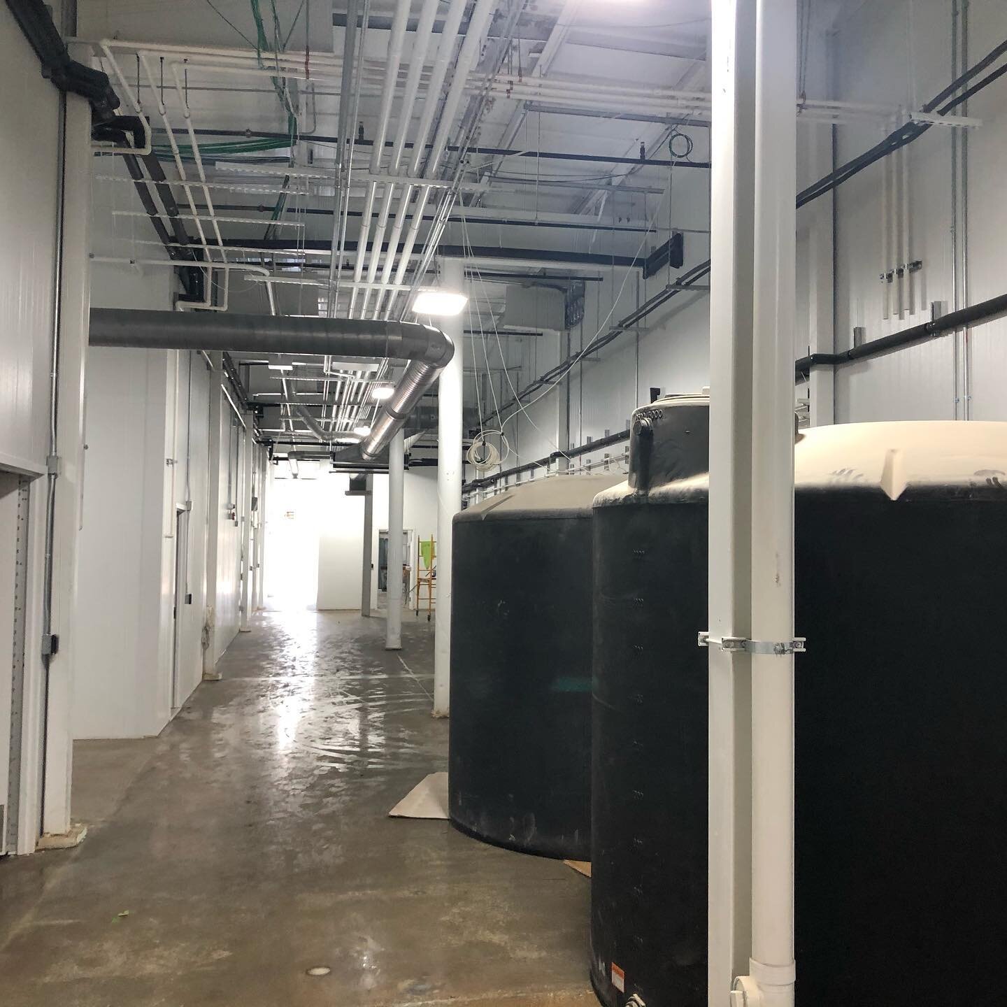Excited to help bring this facility to life. It&rsquo;s Grow Time!

https://www.heraldpalladium.com/communities/benton_harbor/major-transformation-nobo-nearly-ready-to-flip-on-grow-lights-at-large-marijuana-center/article_a493c2b0-26d7-5fd2-9db9-1c76