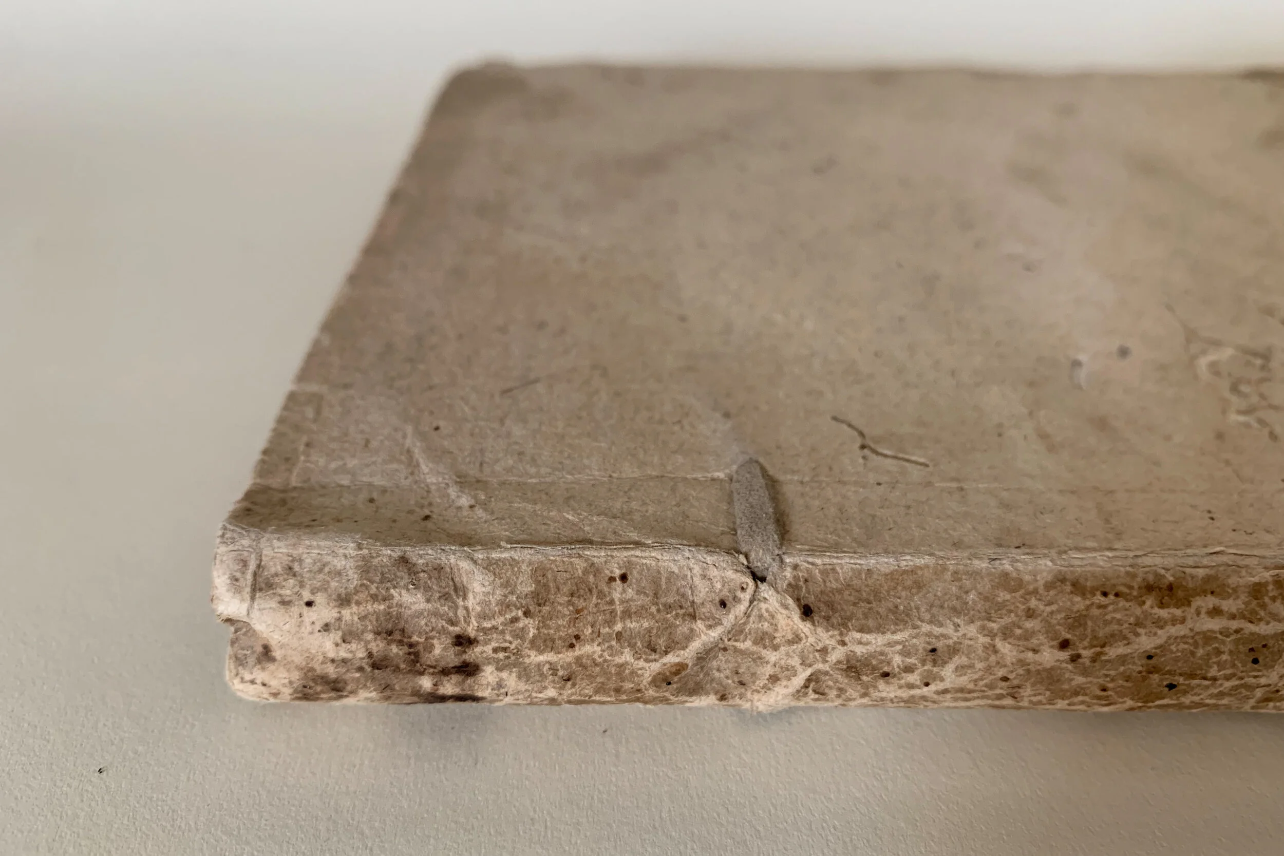 Something appears to be handwritten at the head of the spine, but I can’t make it out.