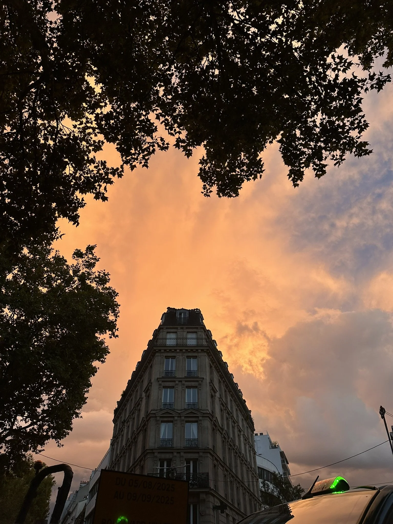 3E05C12F-C178-4360-B345-38DAF0ABD69A_1_102_o.jpeg