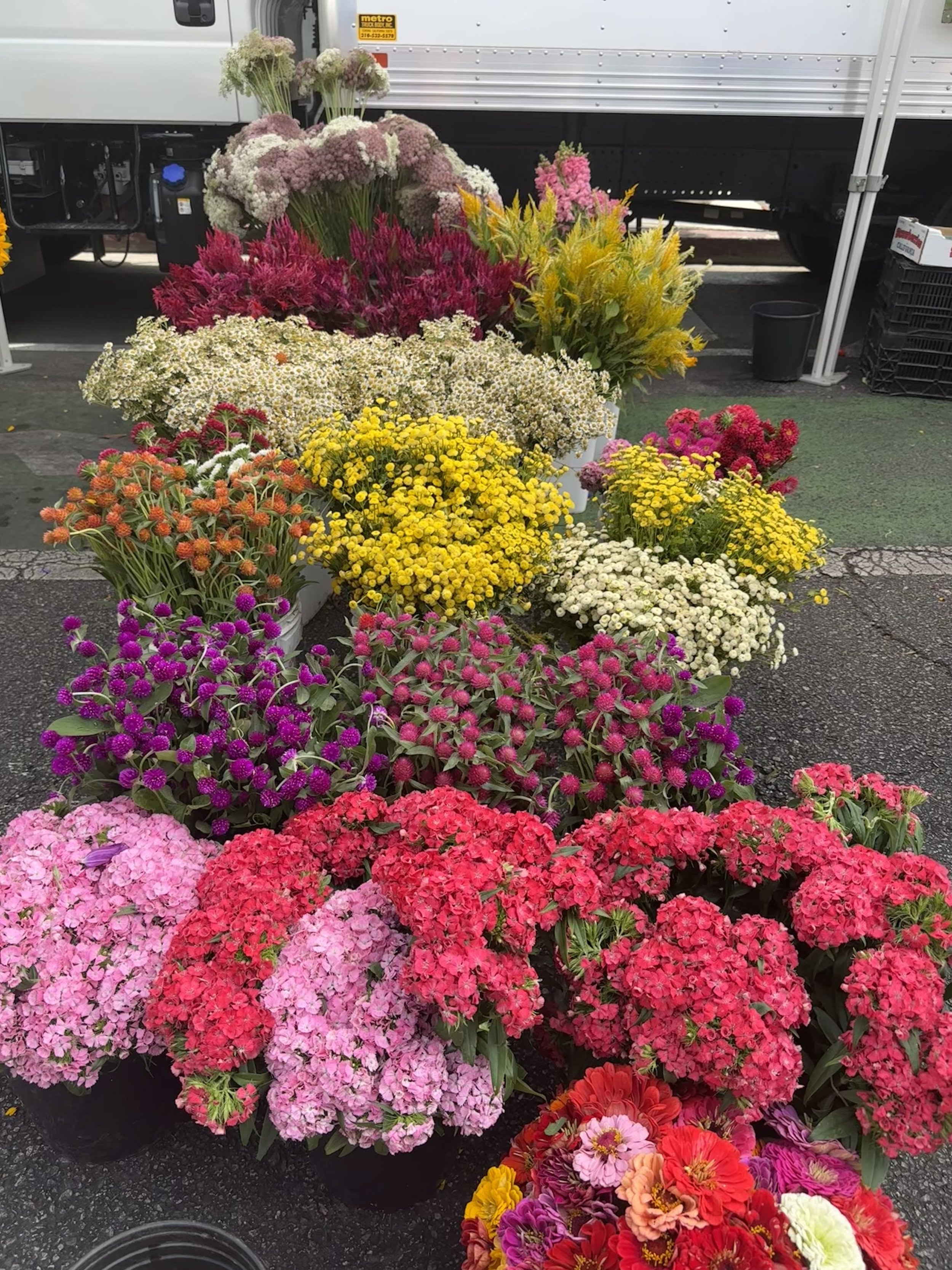 IMG_0589.jpeg