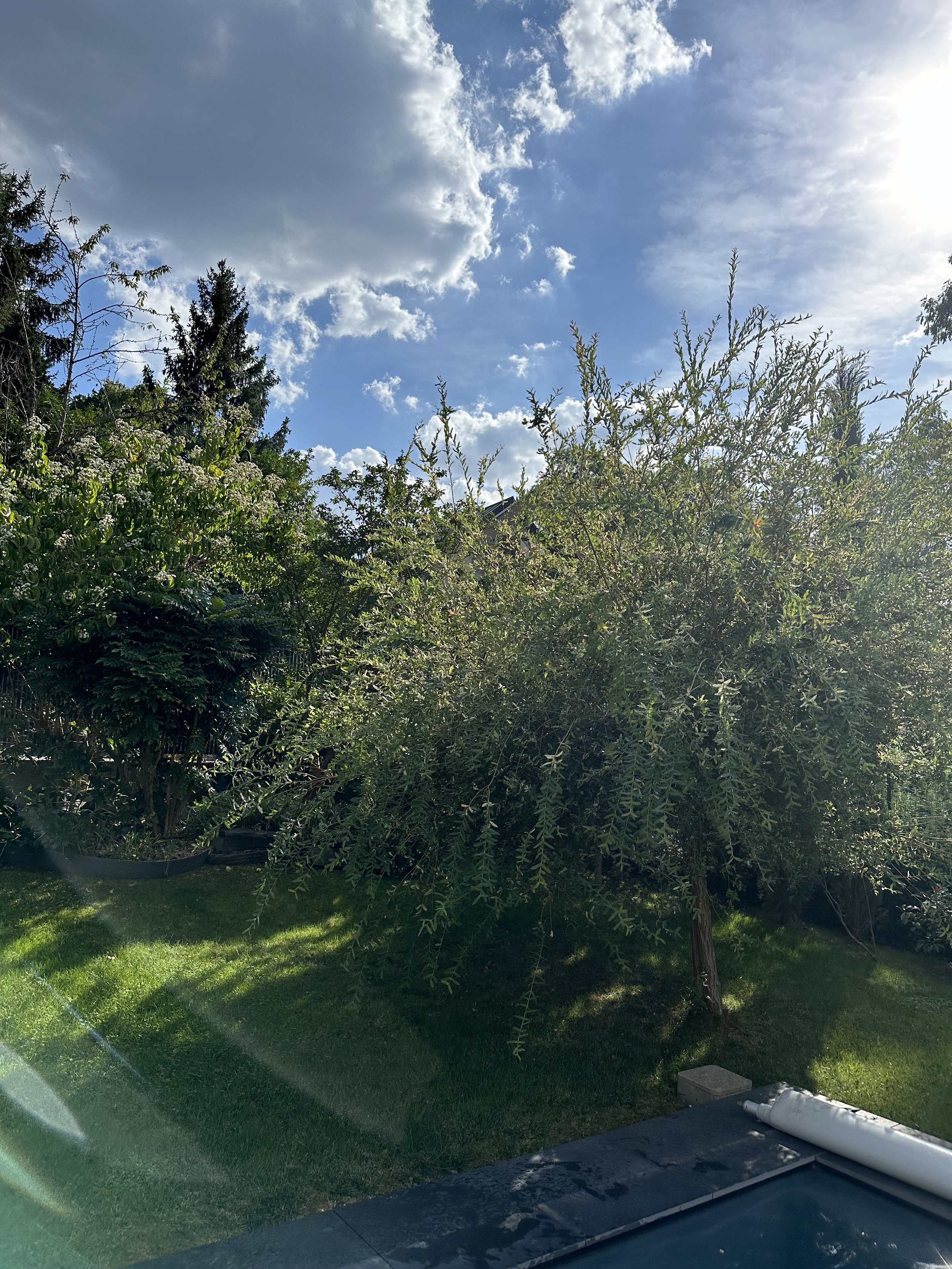 IMG_7370.jpeg