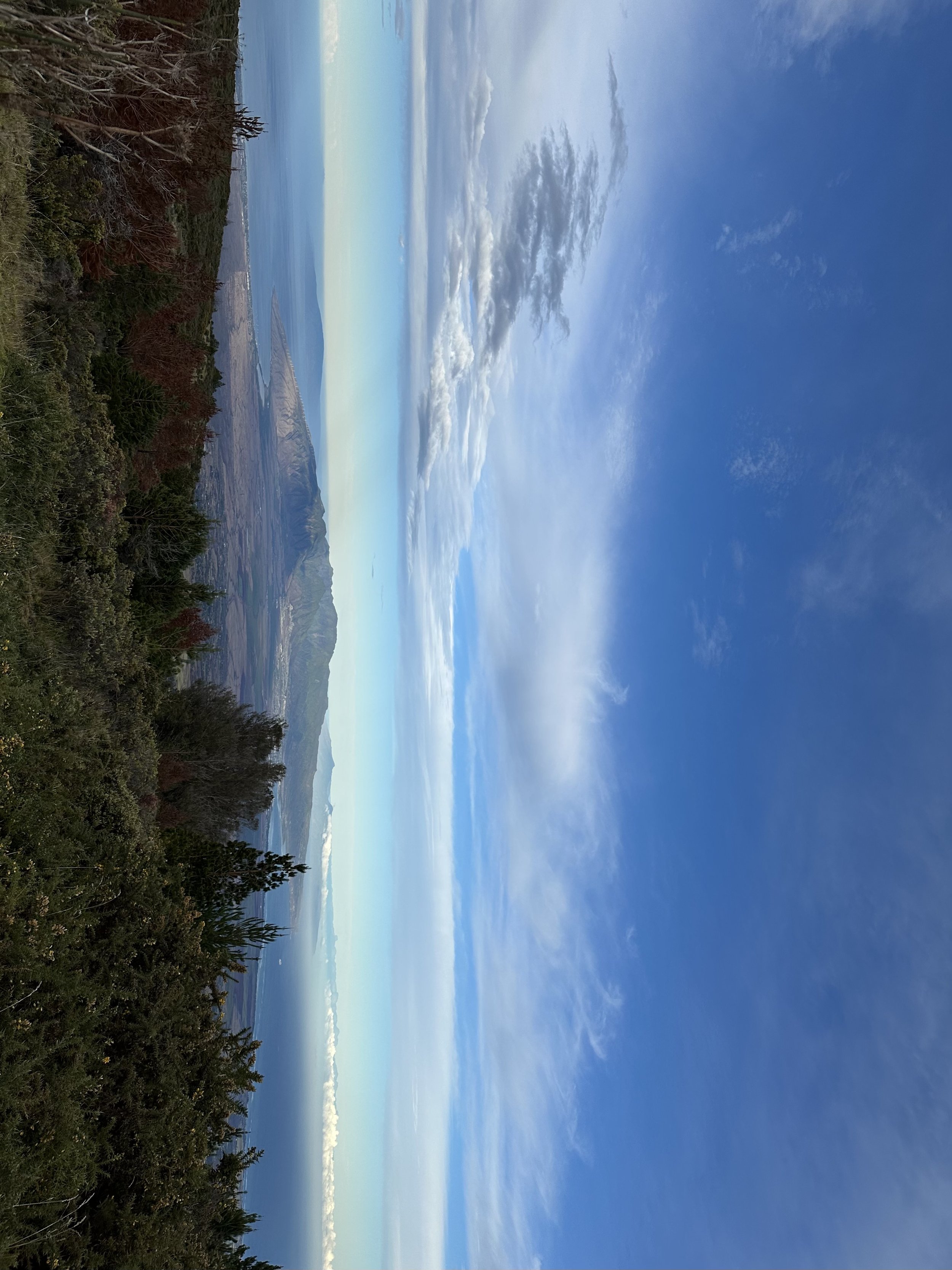 IMG_3882.jpeg