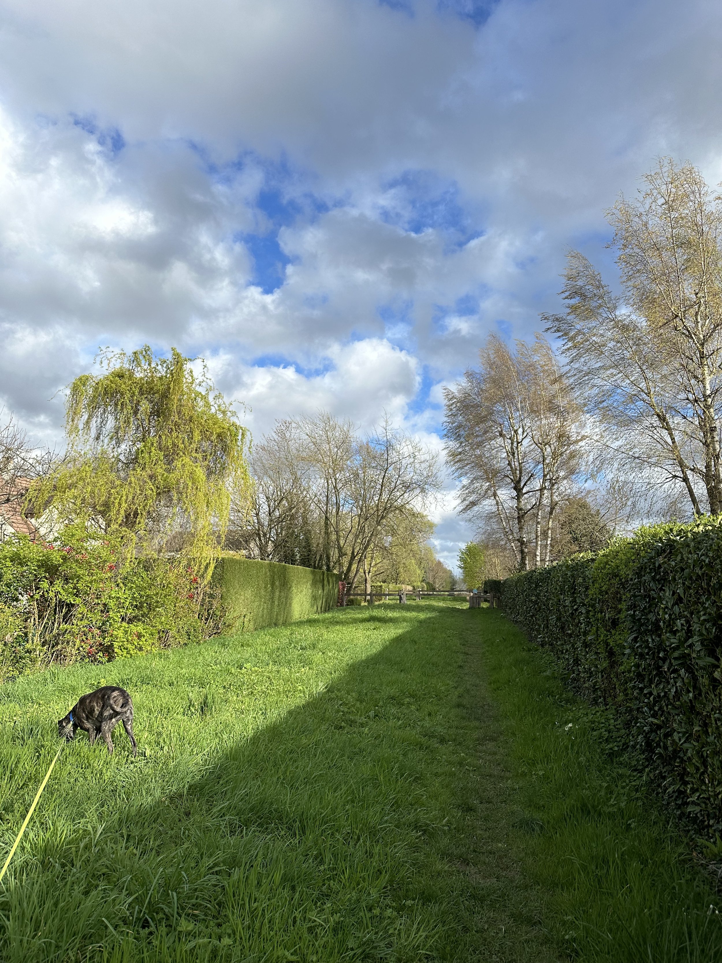 IMG_3419.jpeg