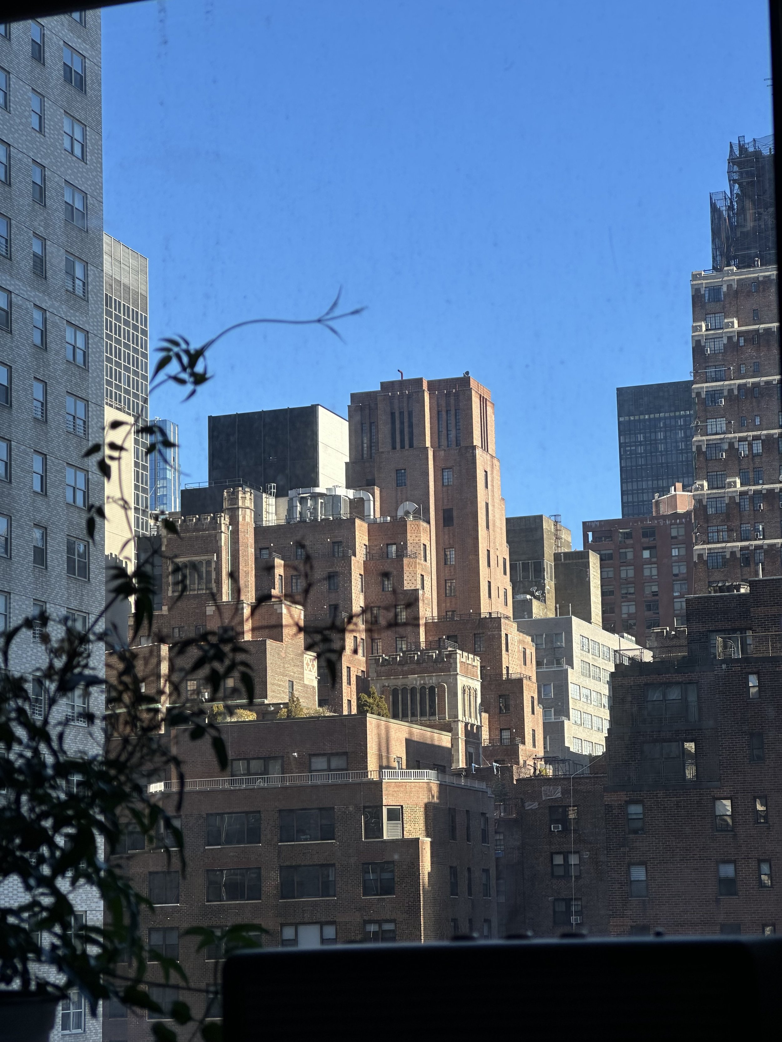 IMG_6780.jpeg