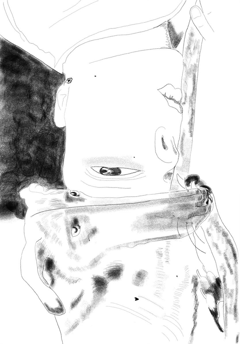 Sketches.jpeg
