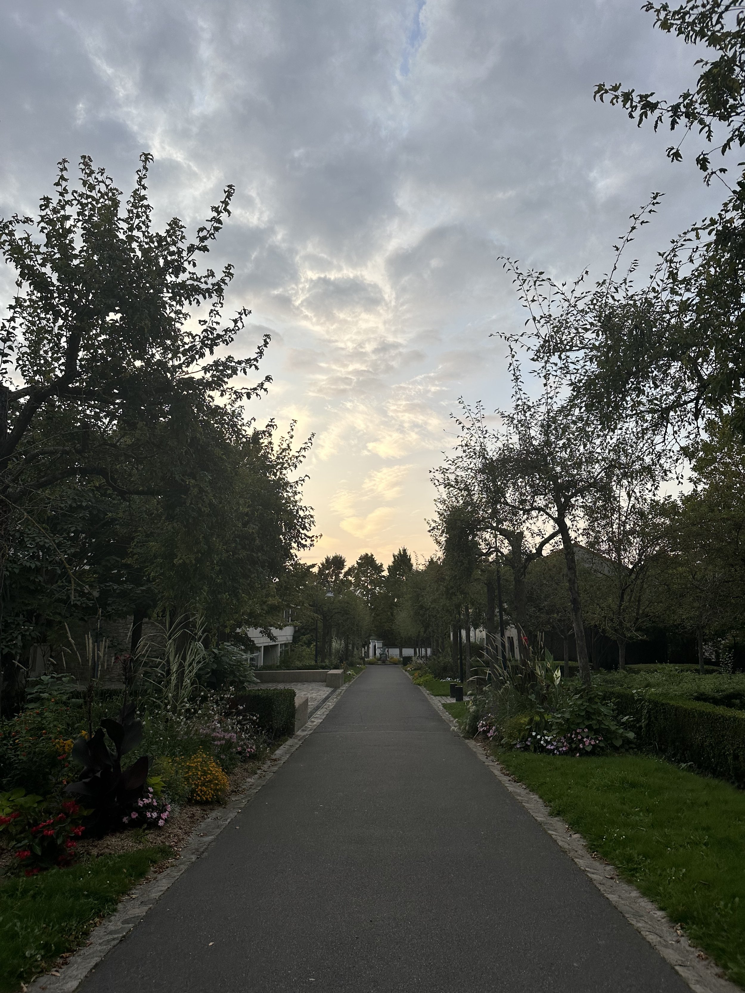 IMG_7150.jpeg