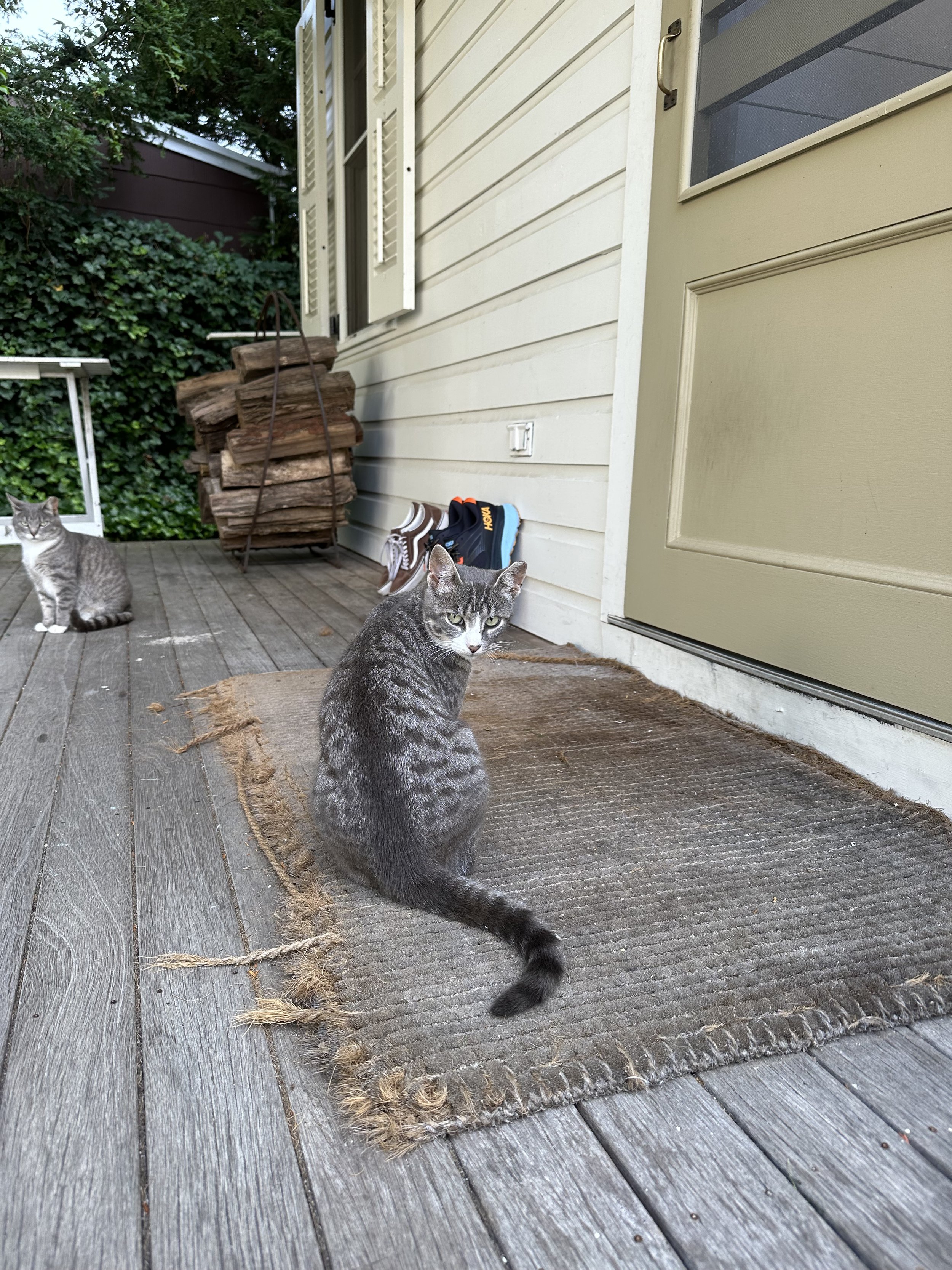 IMG_3580.jpeg