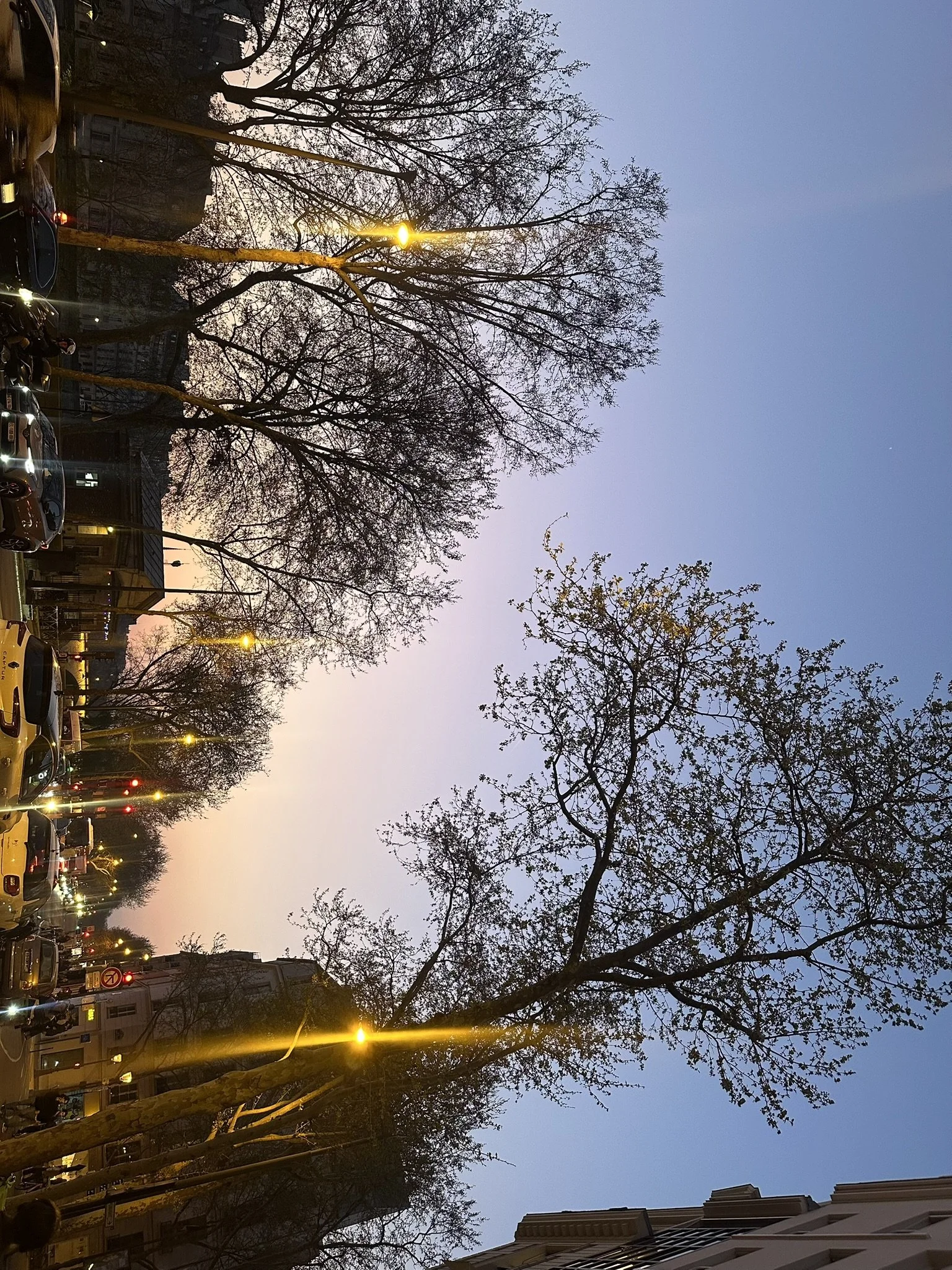 5C81CA54-1EC7-492D-BDD3-91B74D4B8F05_1_102_a.jpeg