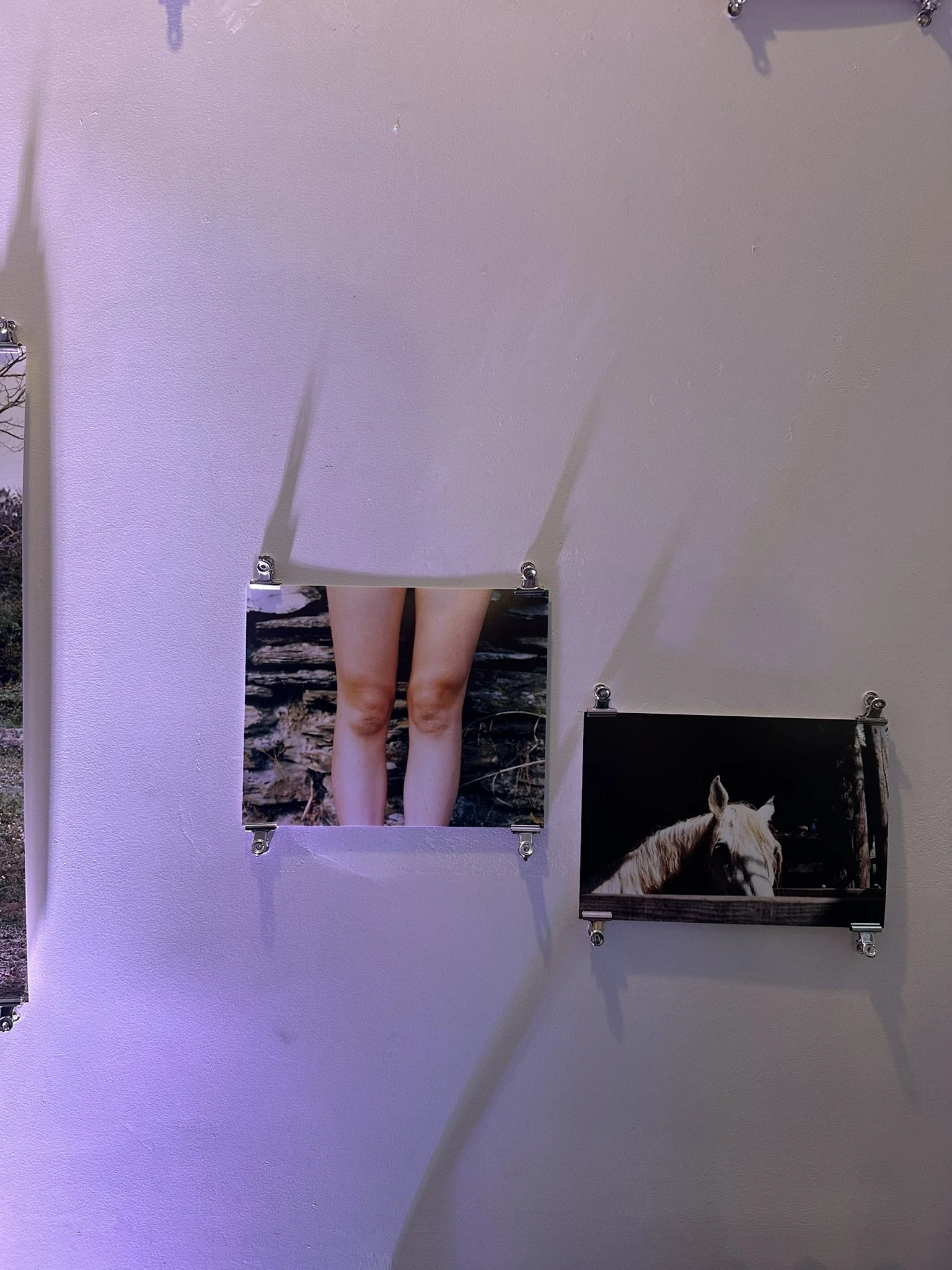 F8010726-F60F-4B8E-A0C5-912385FB94A6_1_102_o.jpeg