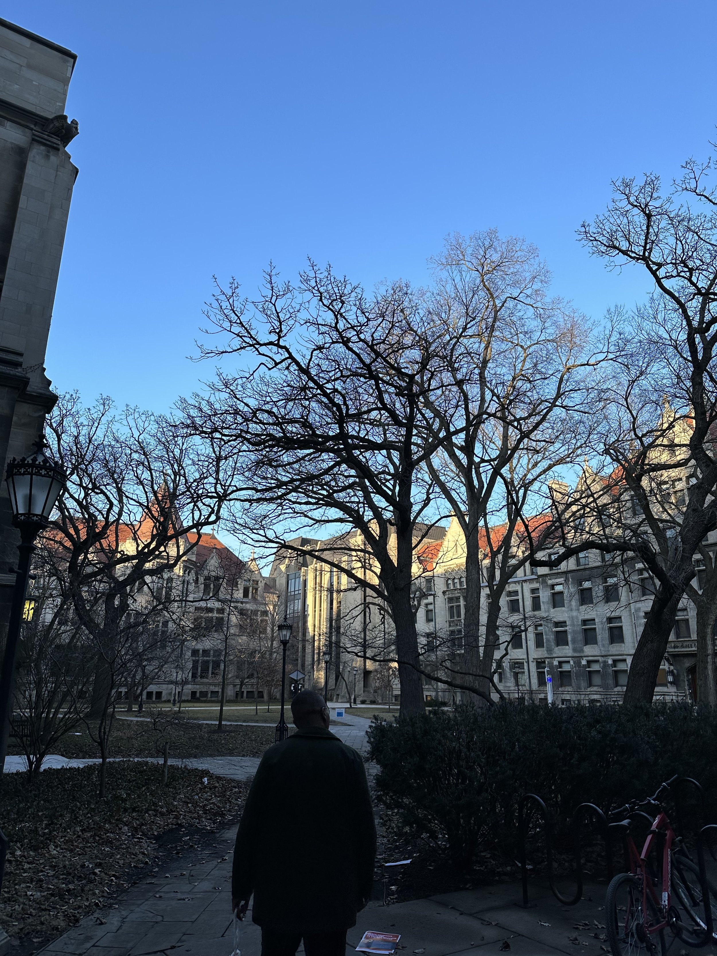 IMG_2040.jpeg