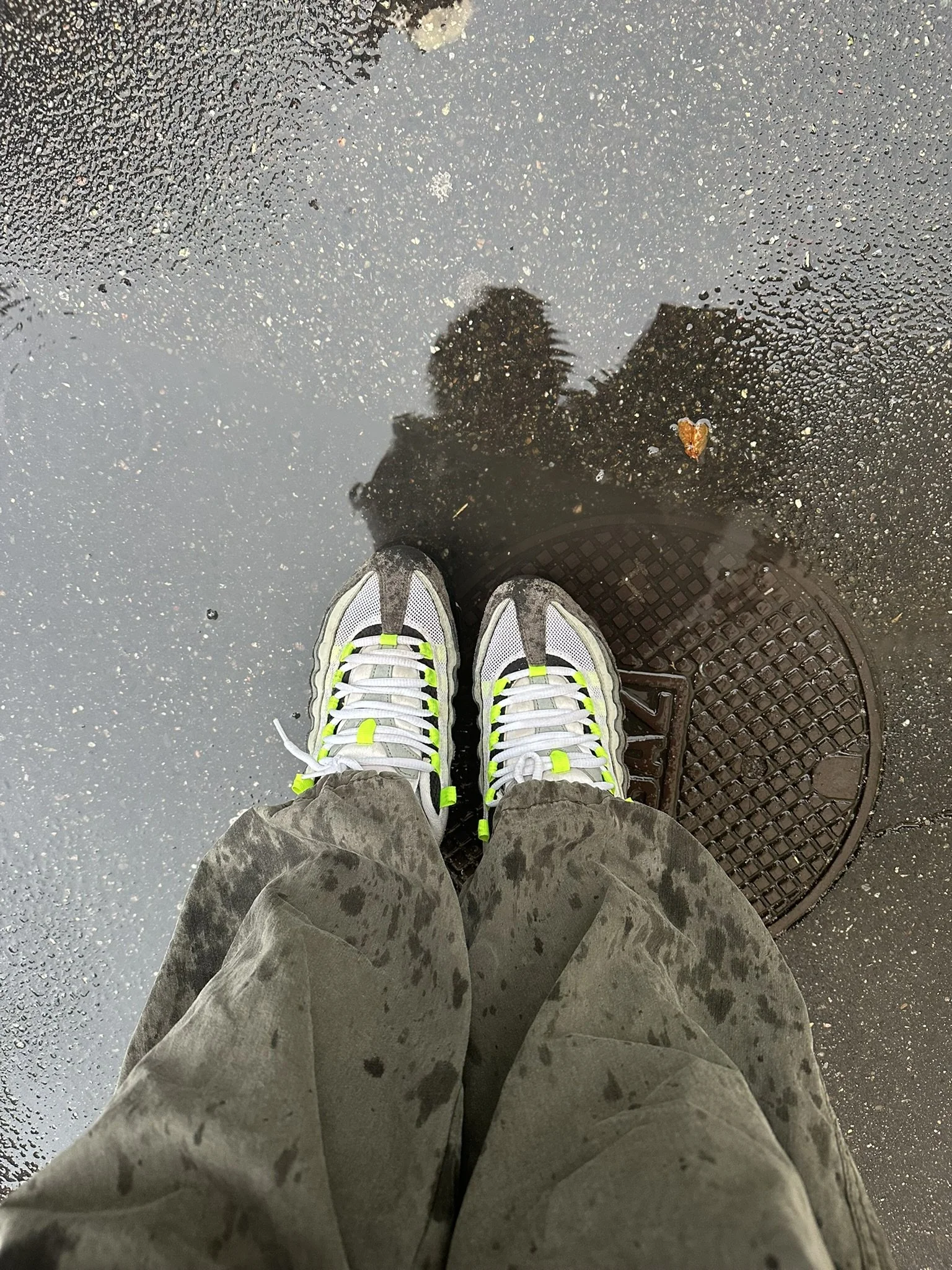 A505C699-46B3-42AD-BF90-E1B04741878B_1_102_o.jpeg