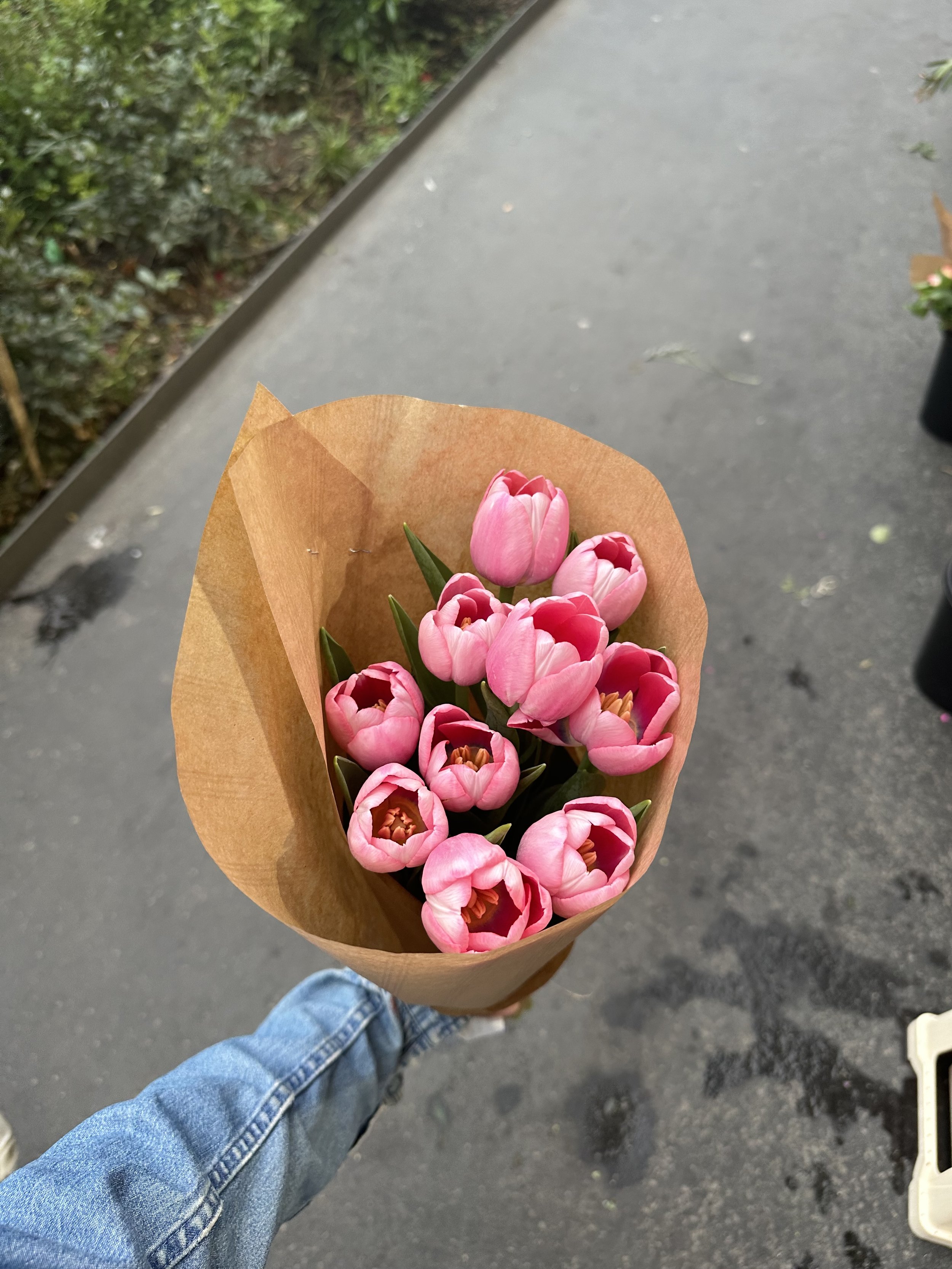 IMG_4354.jpeg