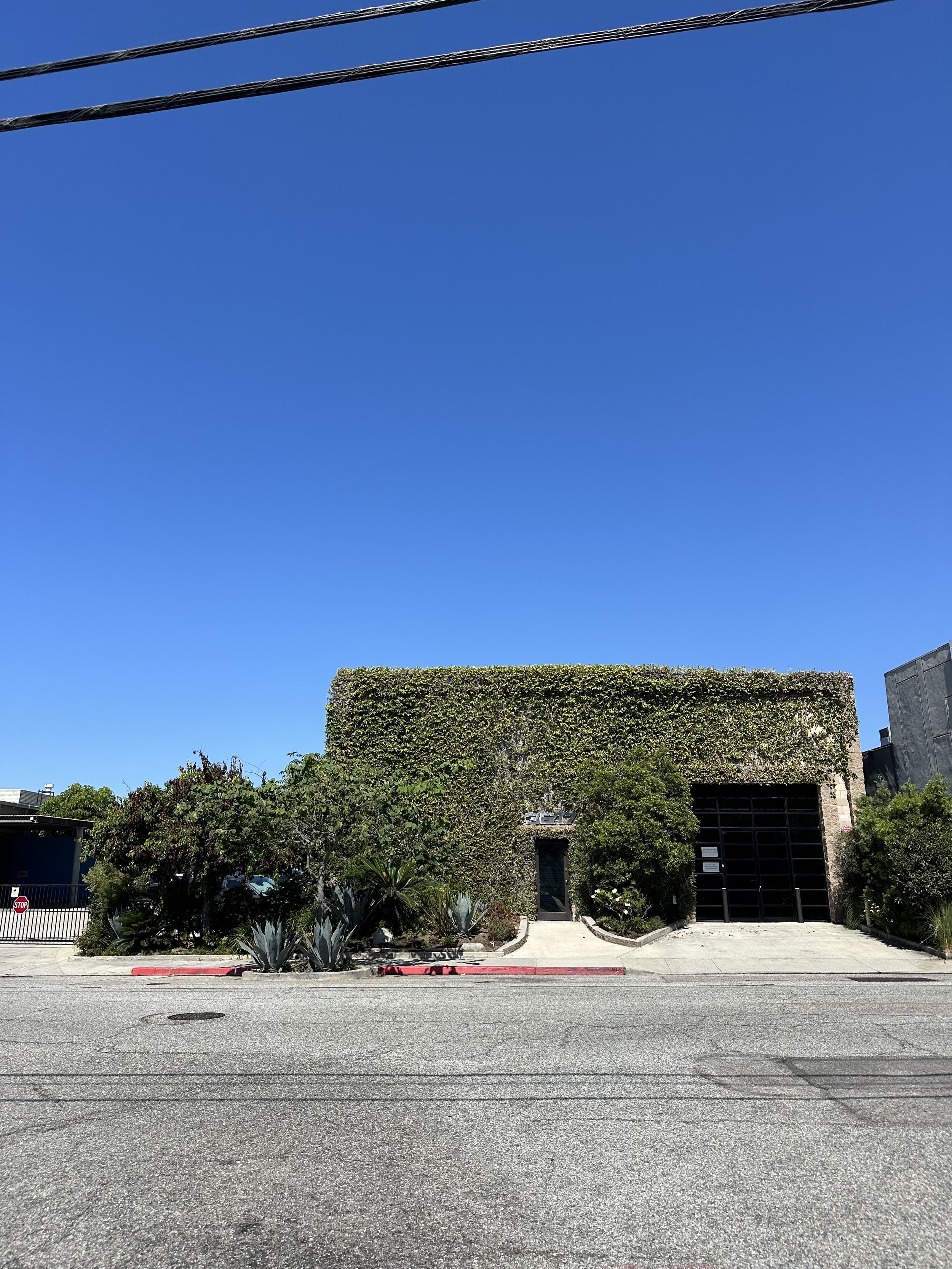 IMG_0144.jpeg