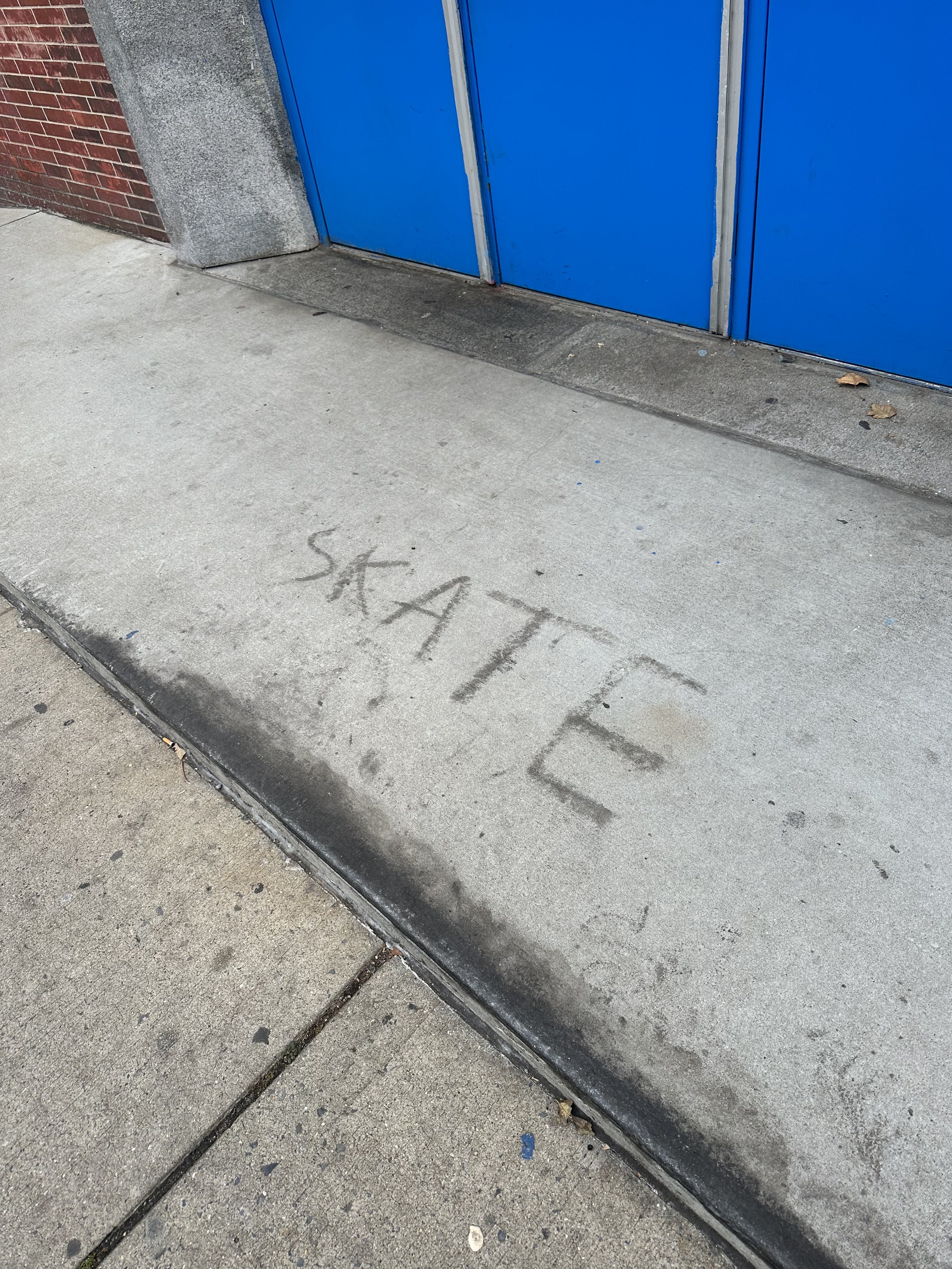 IMG_2250.jpeg