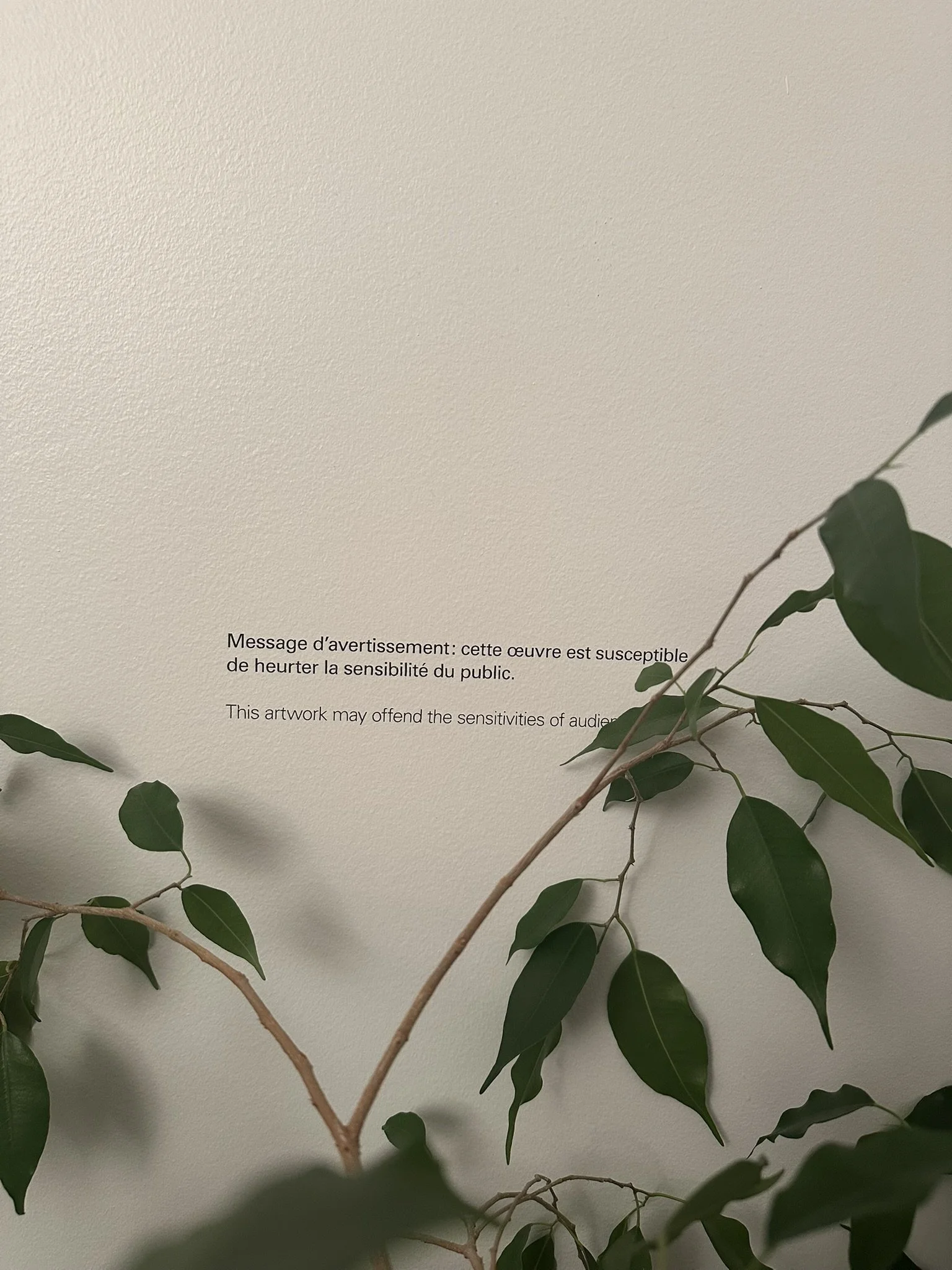 C852A0C8-6A4B-436A-AF08-87F9B8400F41_1_102_o.jpeg