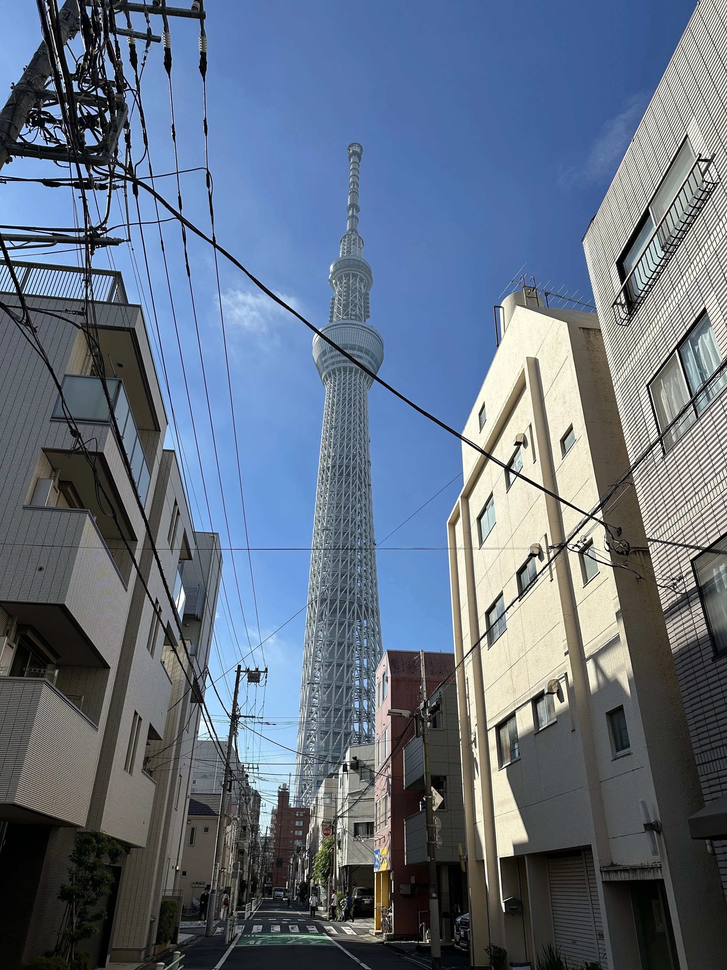 IMG_9935.jpeg