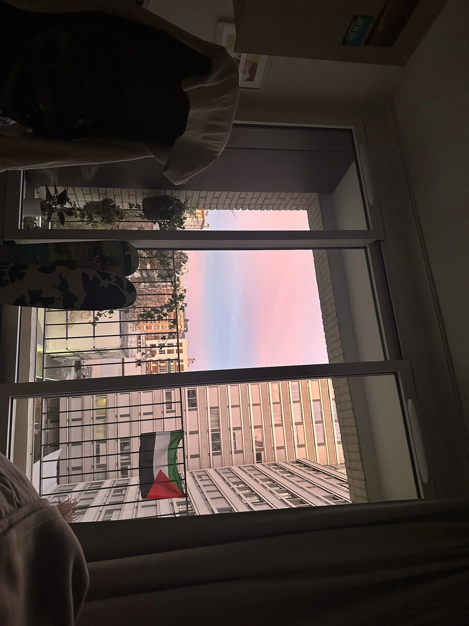 FEBE0716-A074-4CF9-A193-4E084FF0C3AC_1_102_a.jpeg