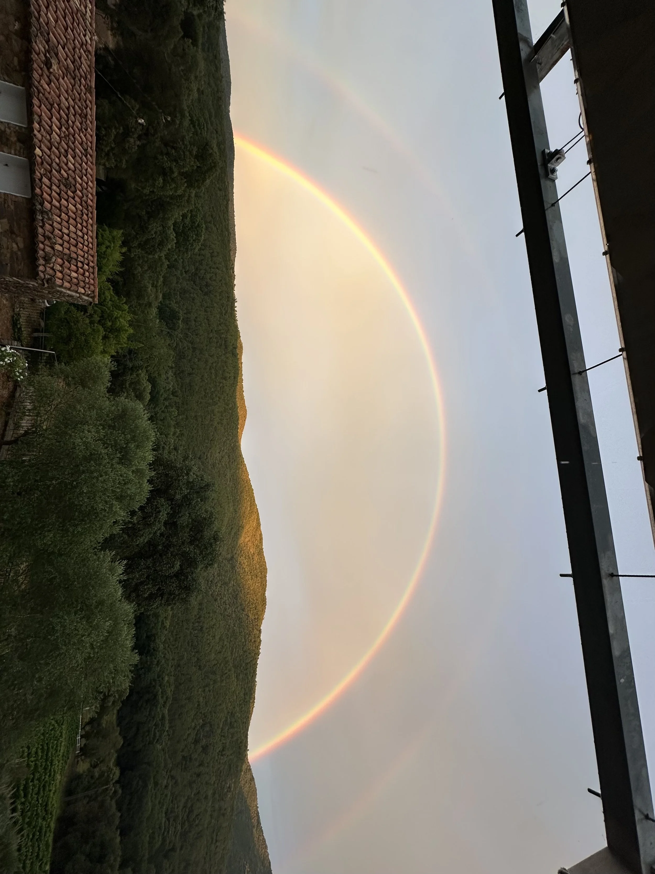 IMG_3030.jpeg