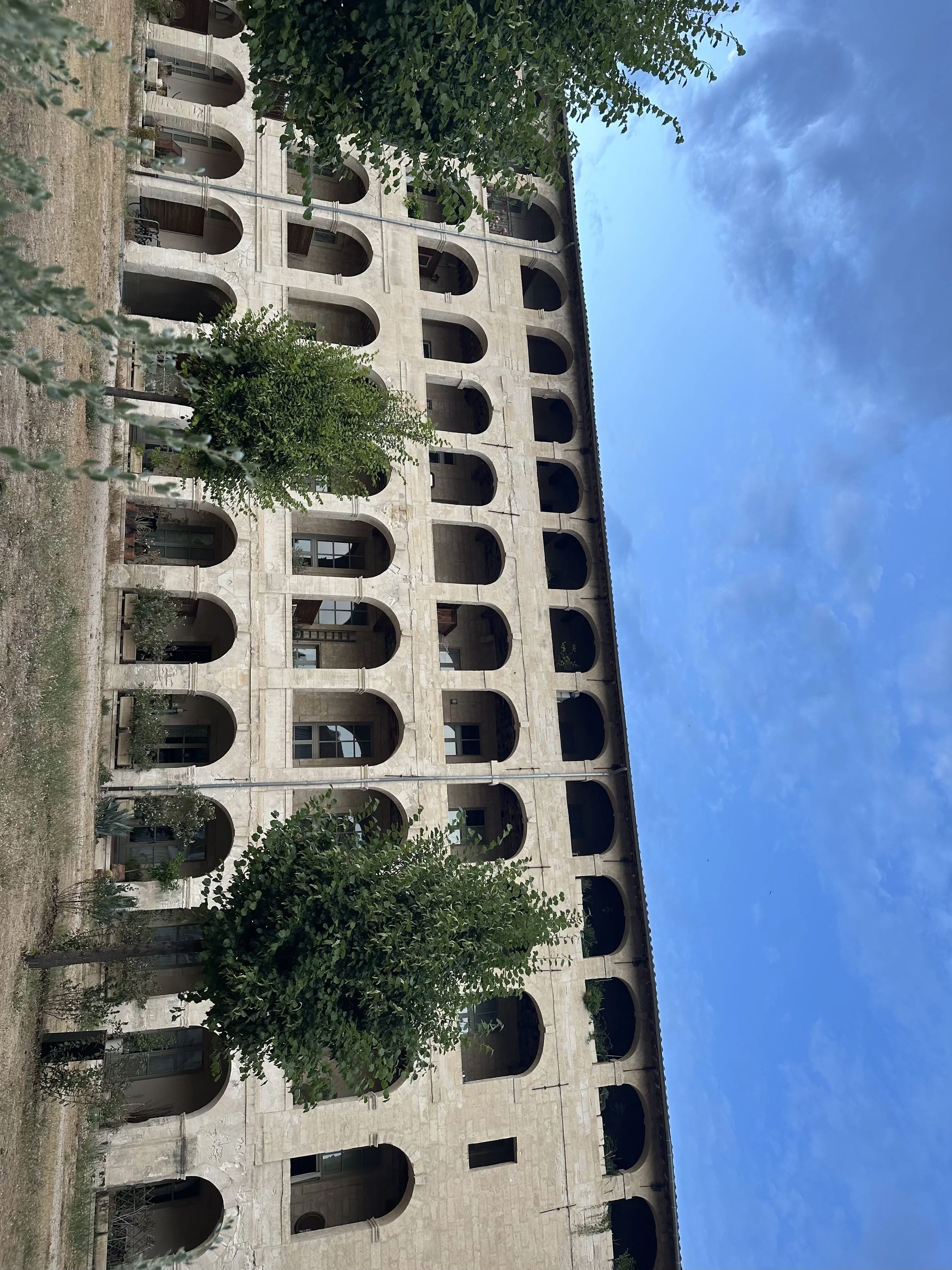 IMG_2554.jpeg