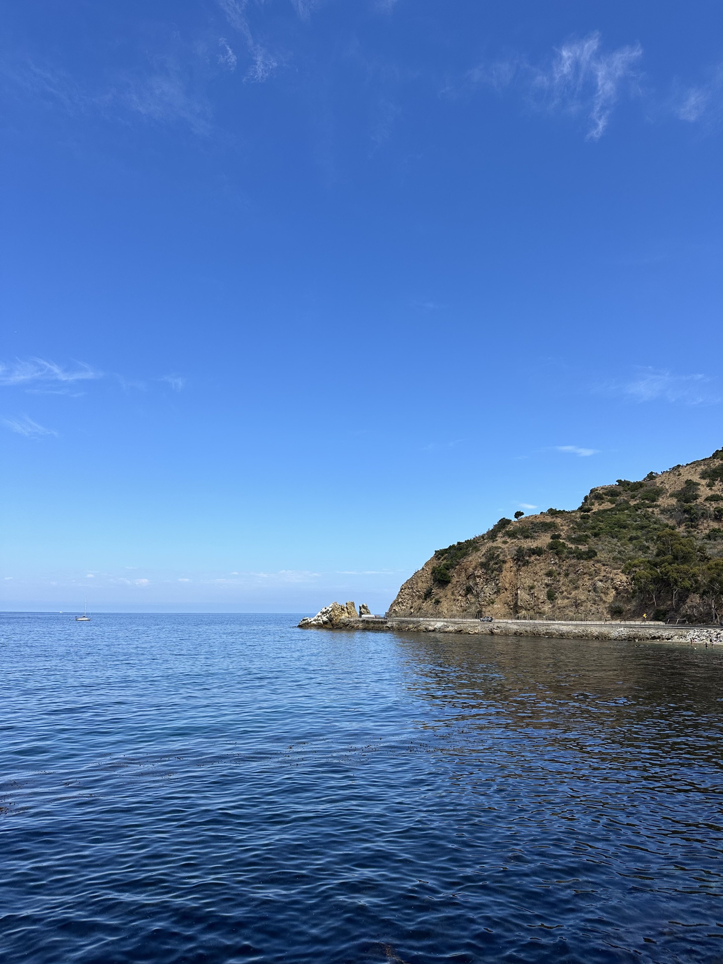 IMG_0328.jpeg